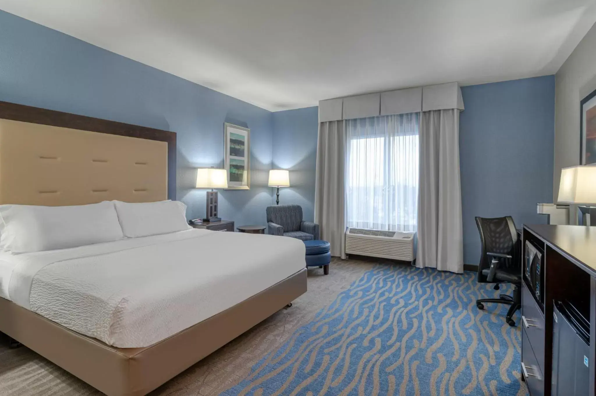 King Room - Disability Access Hearing Accessible - Roll-In Shower in Holiday Inn Express and Suites Edwardsville, an IHG Hotel King Room - Disability Access Hearing Accessible - Roll-In Shower in Holiday Inn Express and Suites Edwardsville, an IHG Hotel