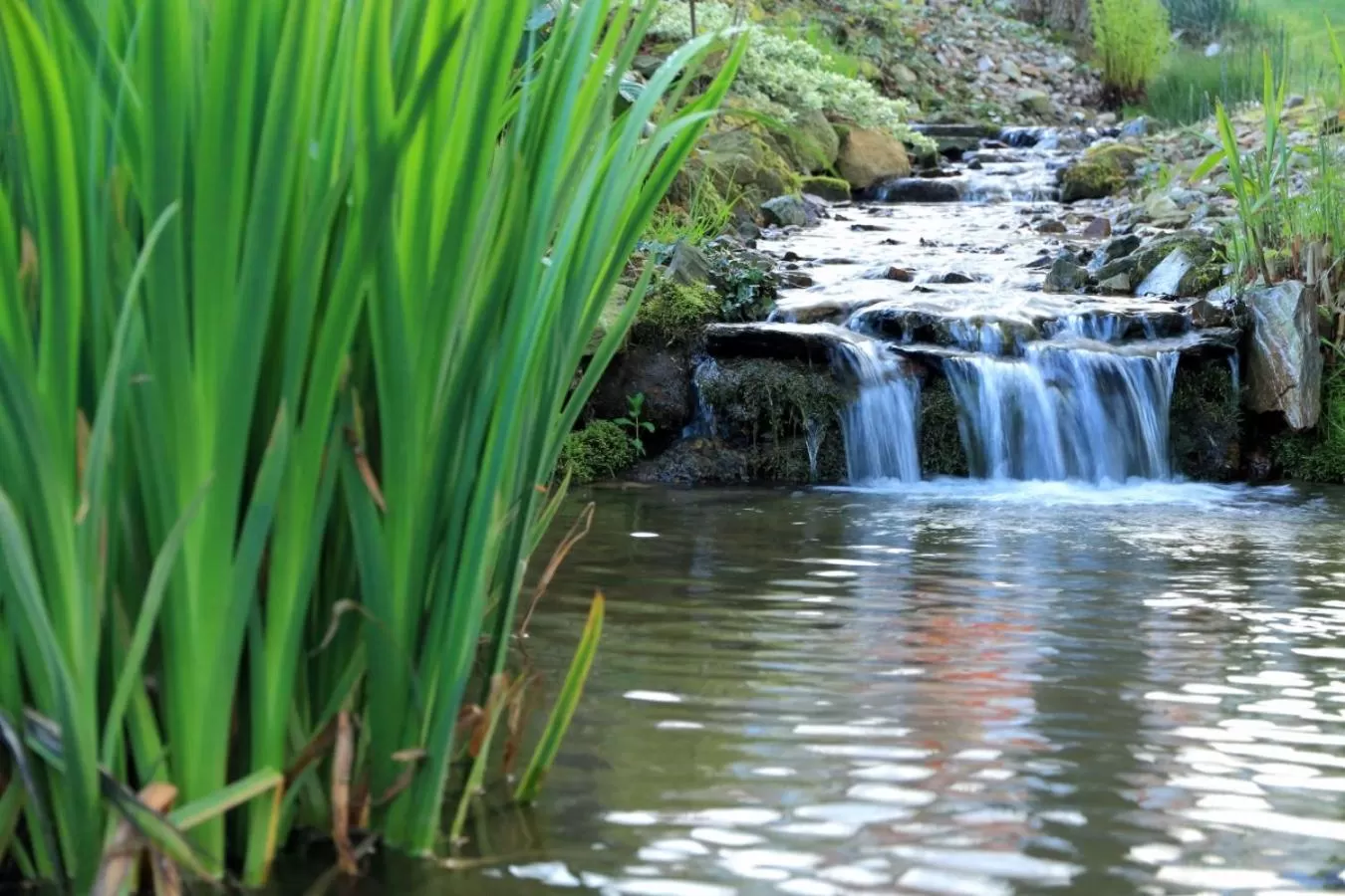 Natural landscape in Boutique Hotel Sudetia - Medical & SPA