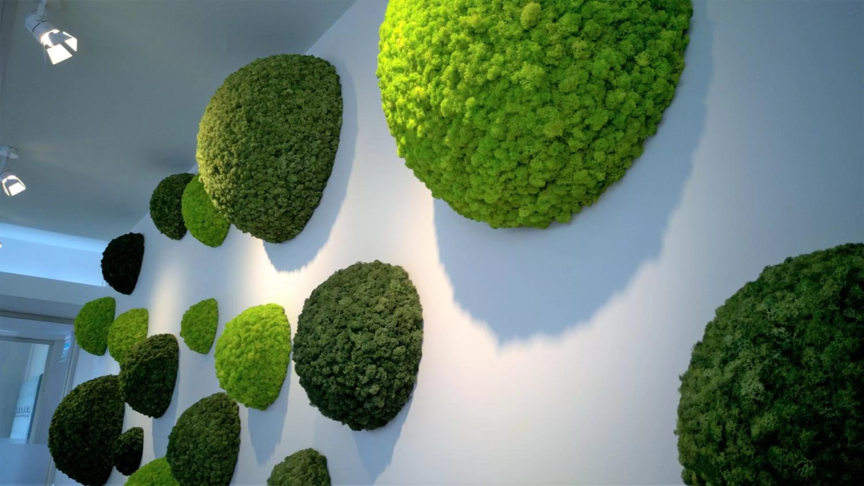 Restaurant/places to eat in Potaissa Hotel