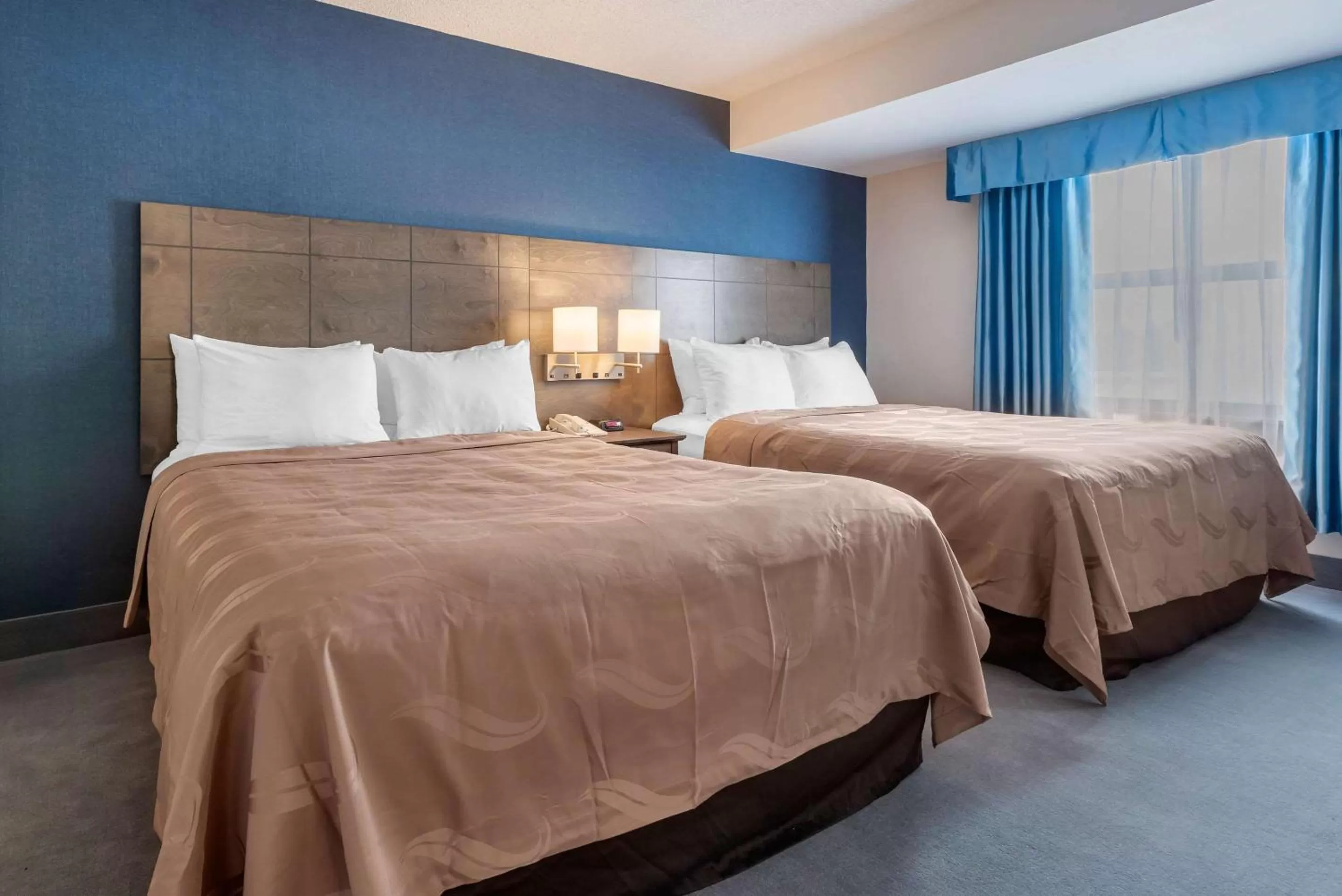 Photo of the whole room, Bed in Quality Suites