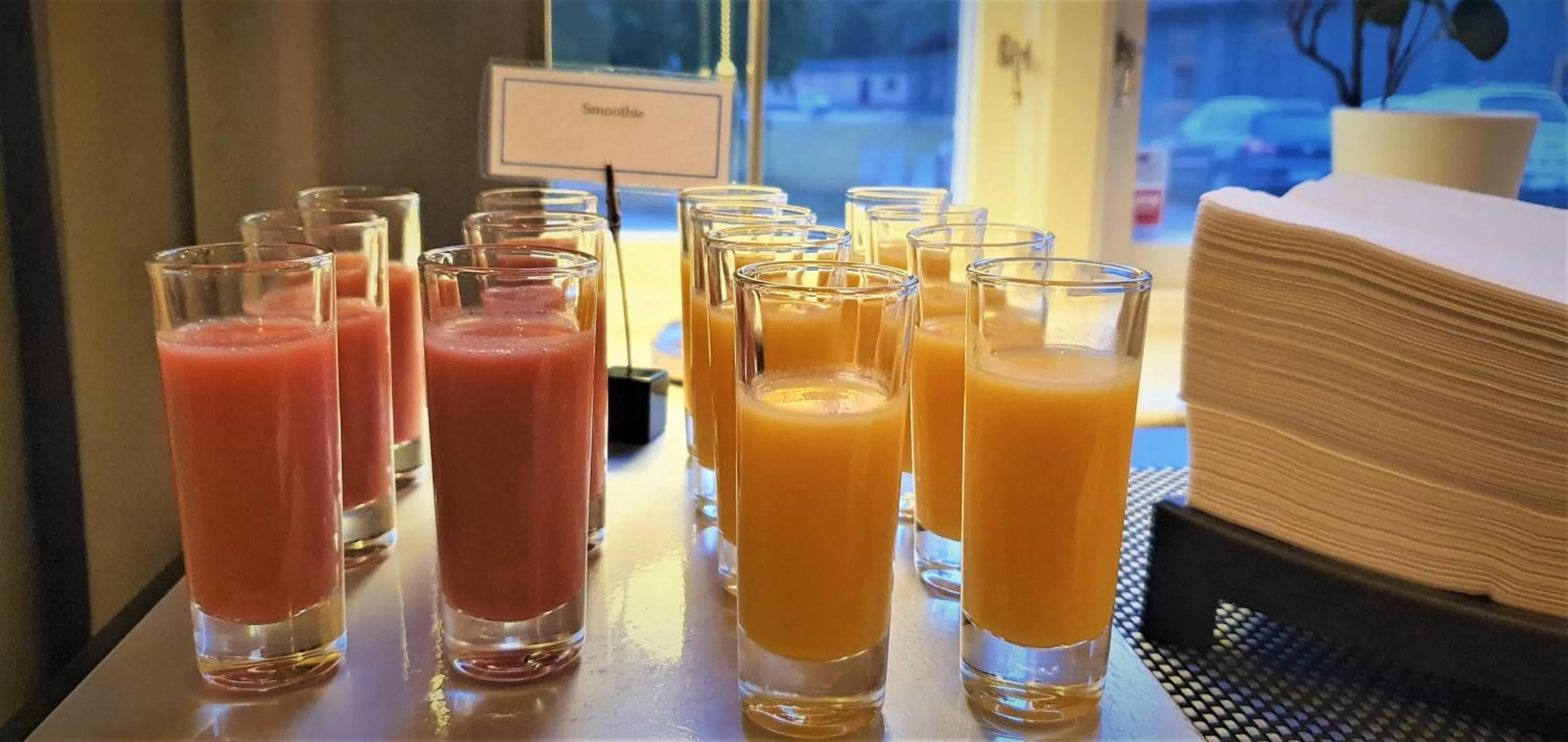 Breakfast in Nipanhotellet