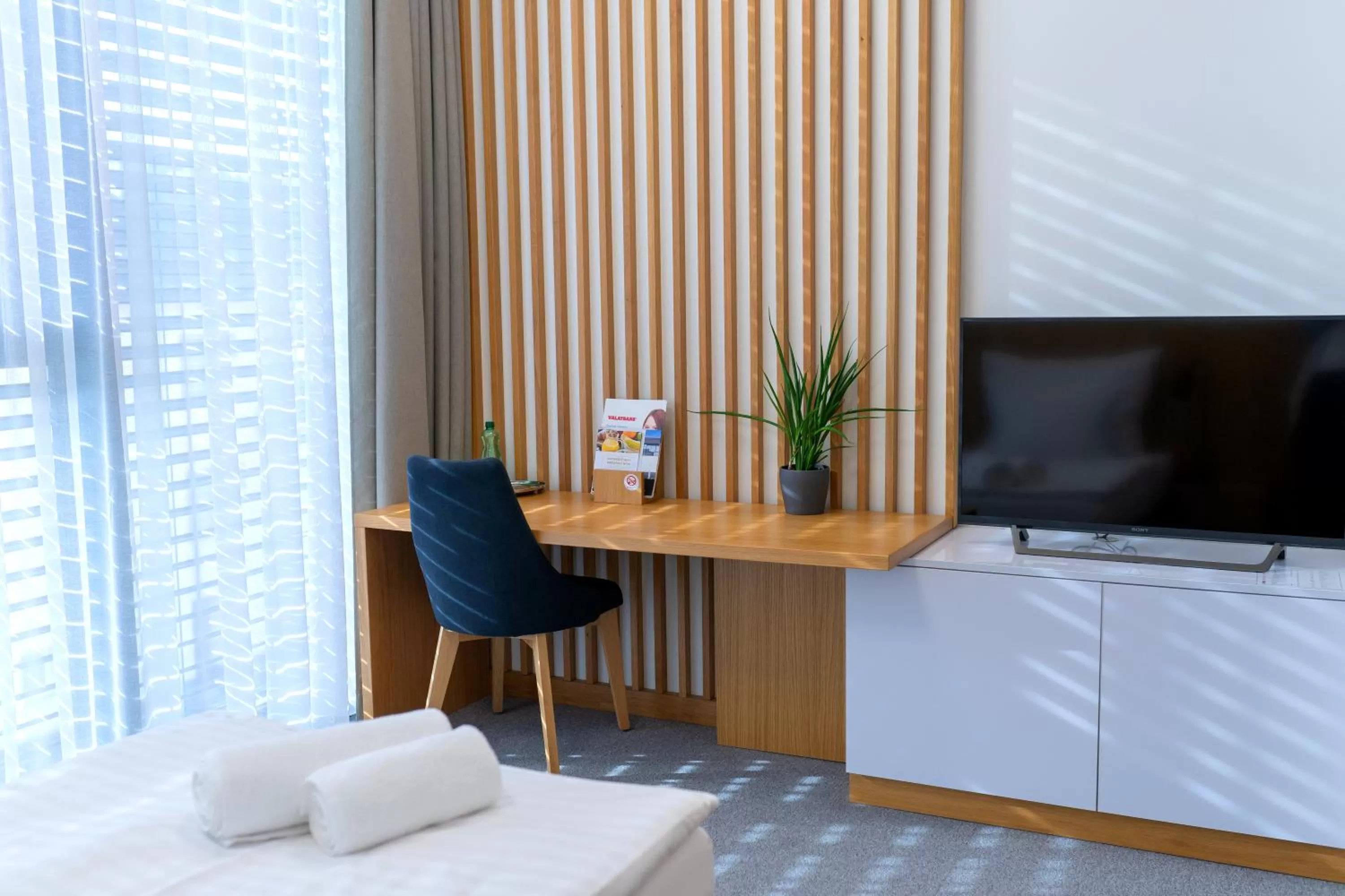 TV/Entertainment Center in Hotel Smetanova