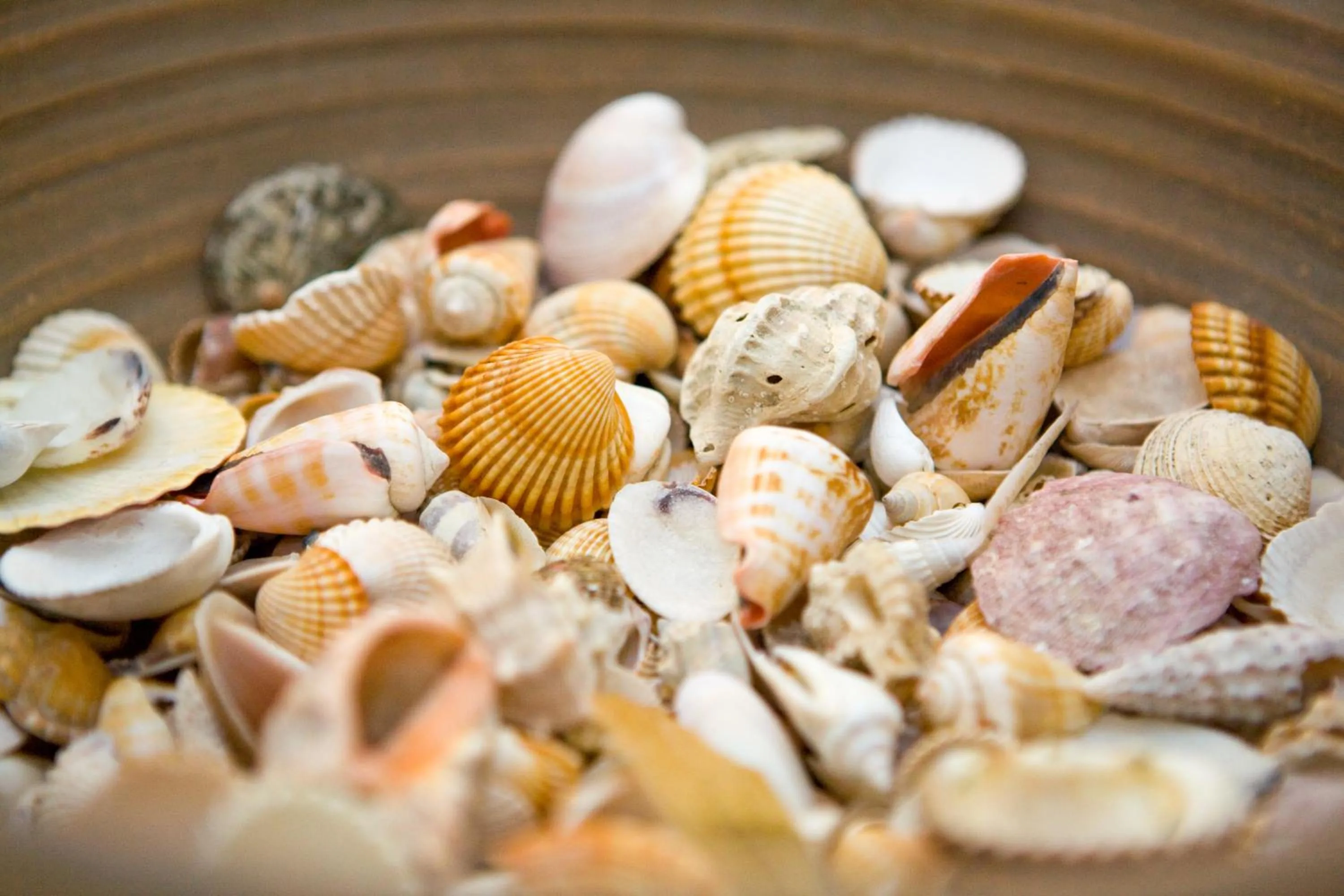 Other in Hotel Cesario