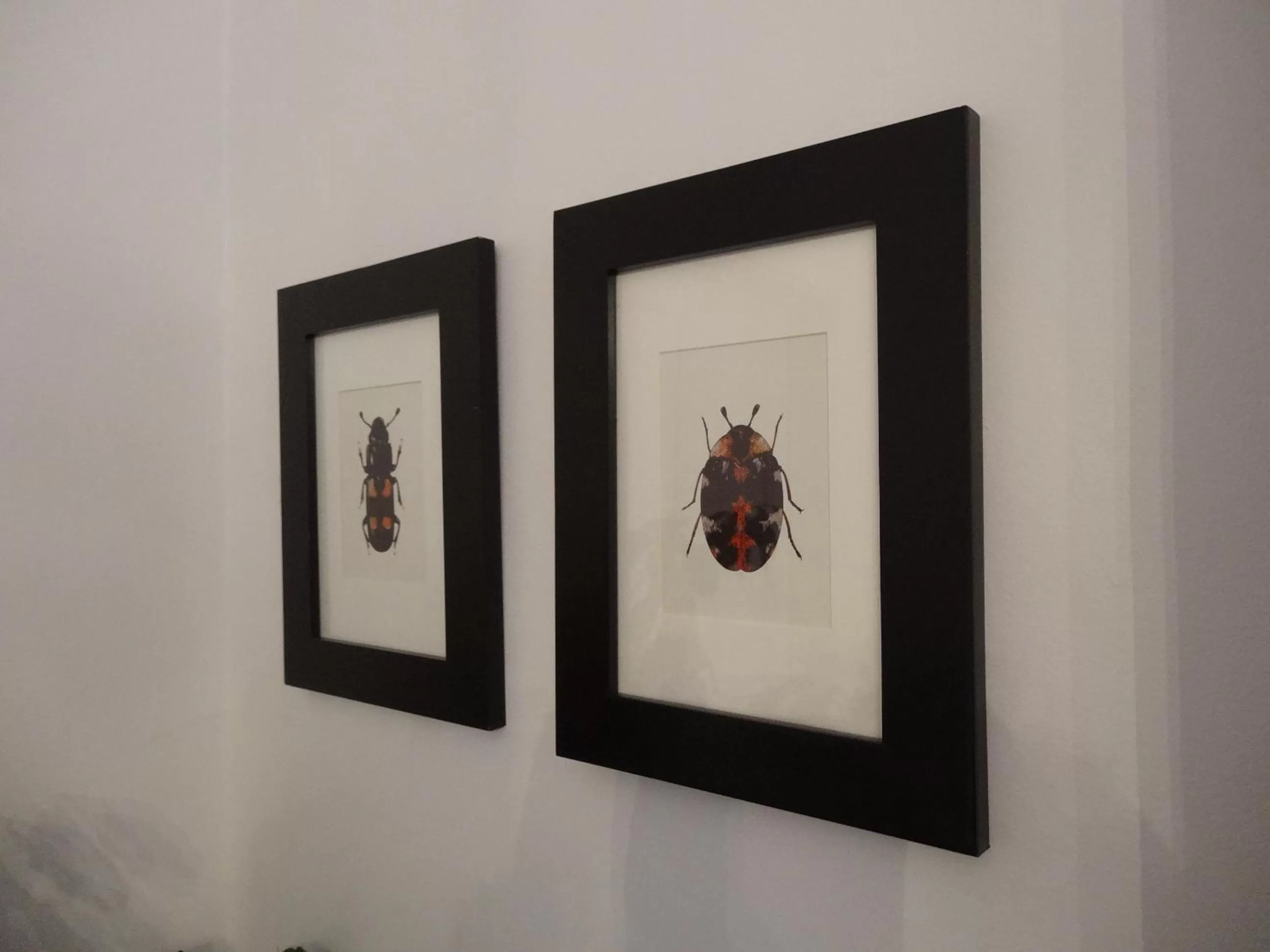 Decorative detail, Logo/Certificate/Sign/Award in Gröna Lena