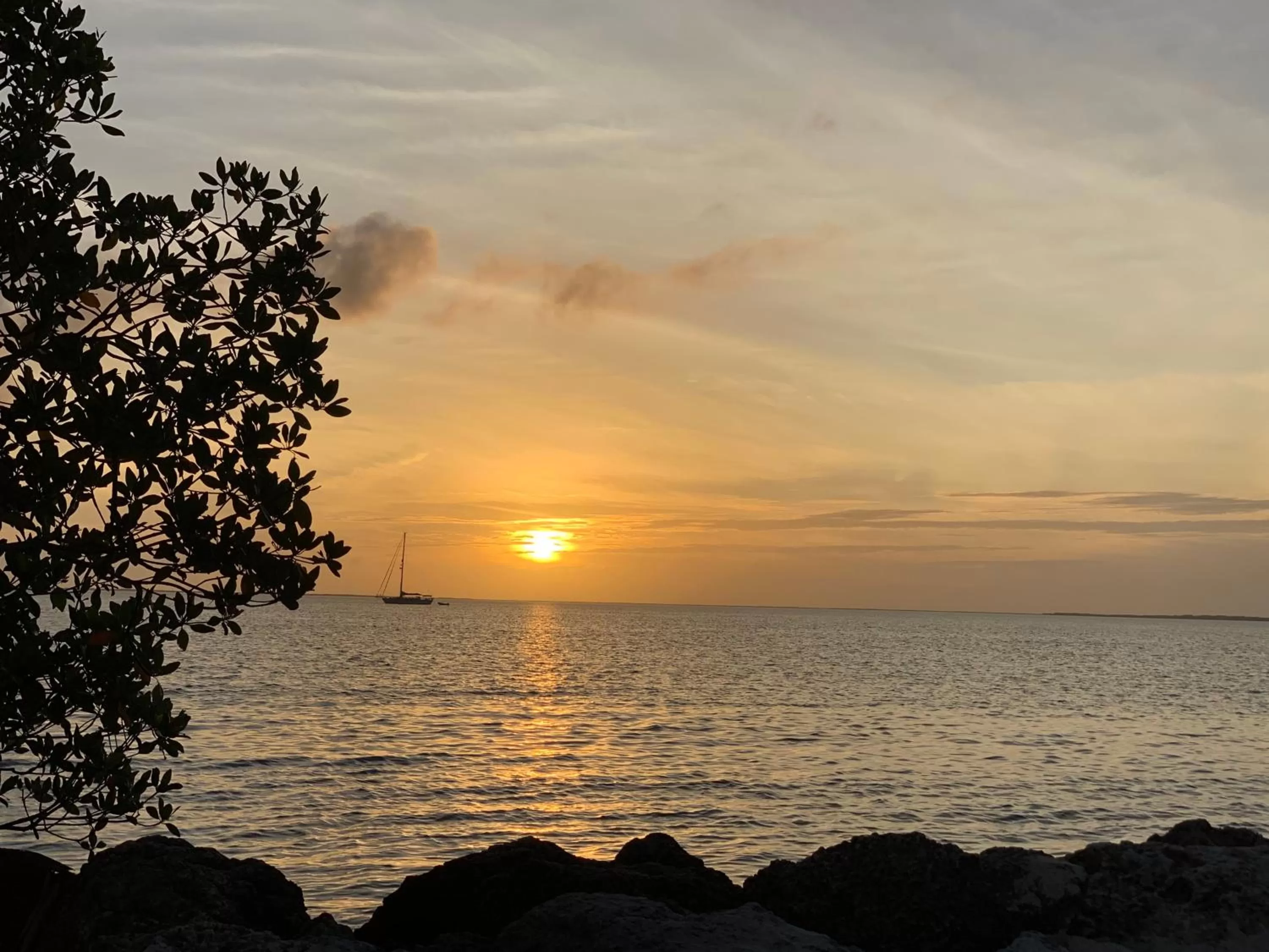Natural landscape in Gilbert's Resort & Marina
