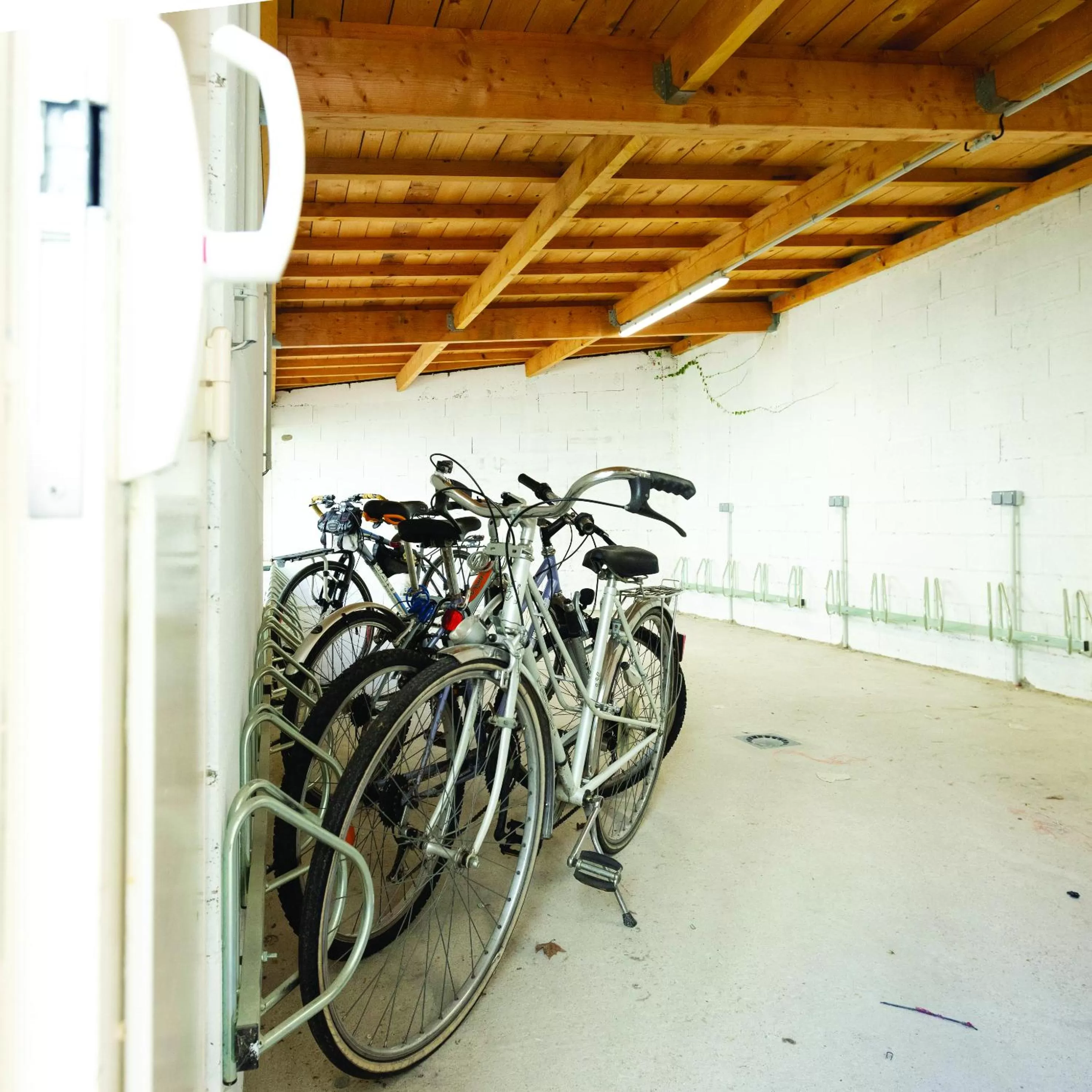 Cycling in The People - Tours