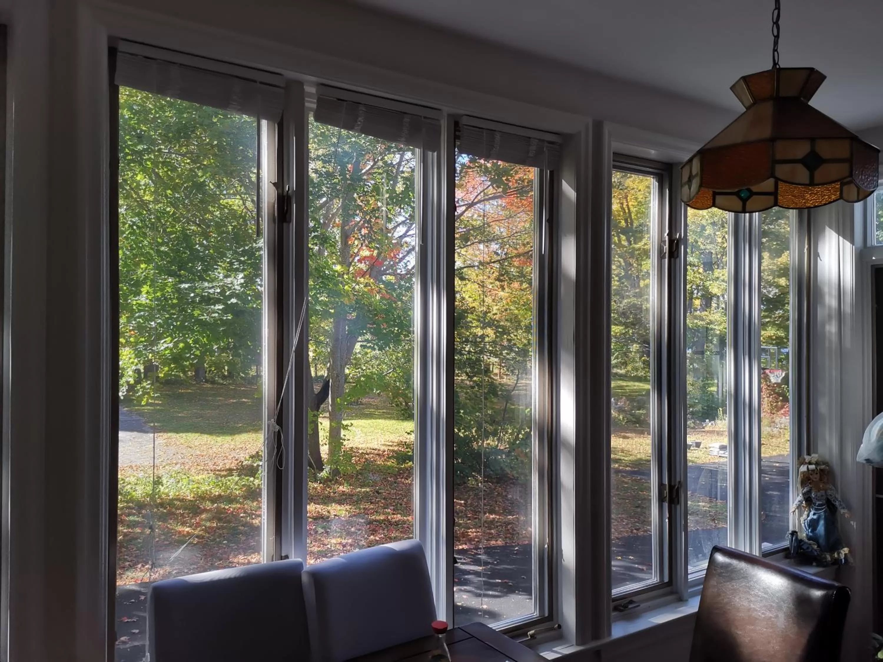 Garden view in By The River B&B