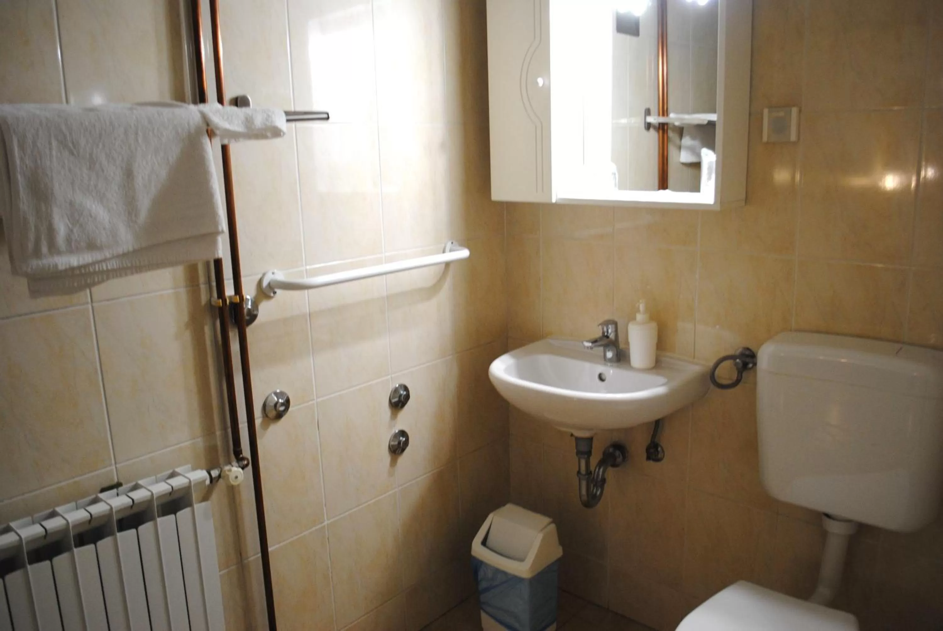 Toilet in Hotel Fala Zagreb