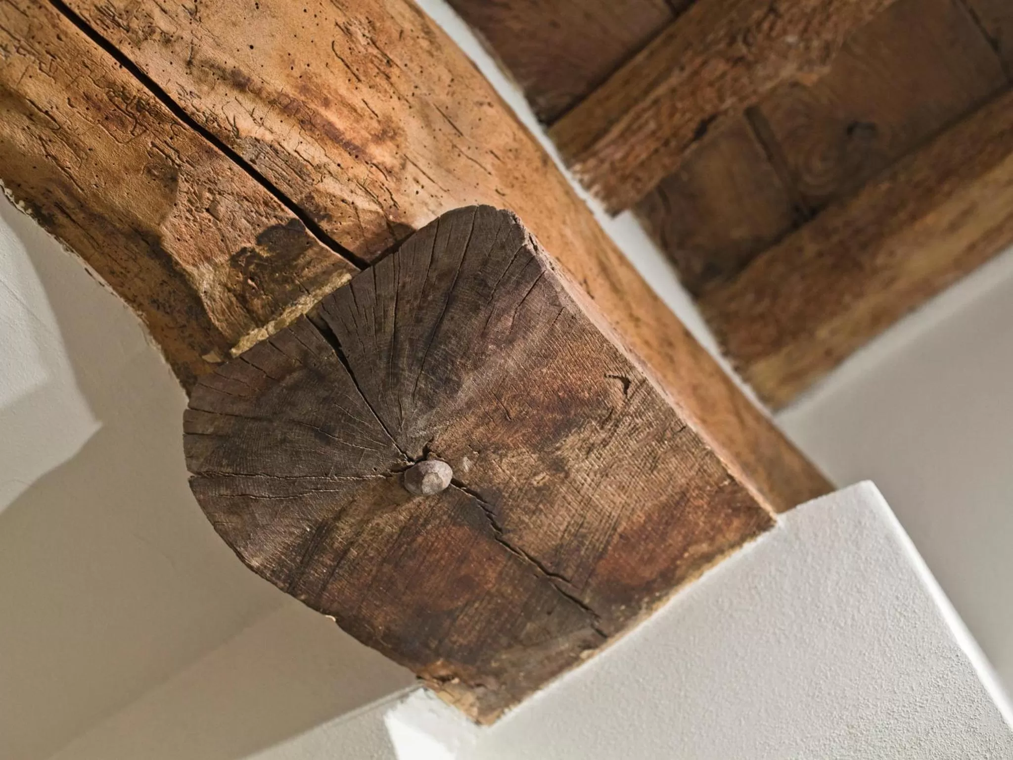 Other in B&B Il Corso