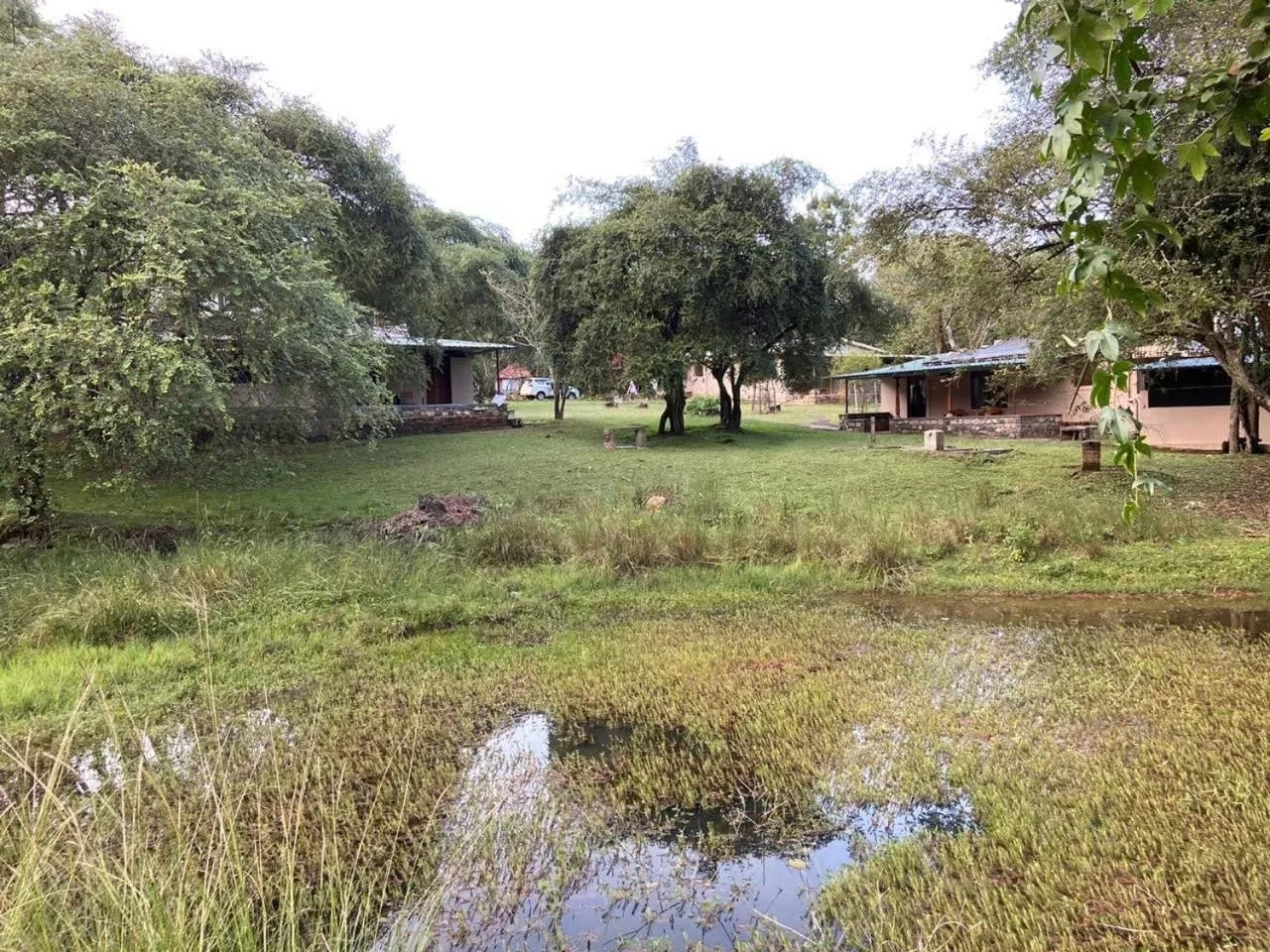 Natural landscape in Jungle Hut Resort