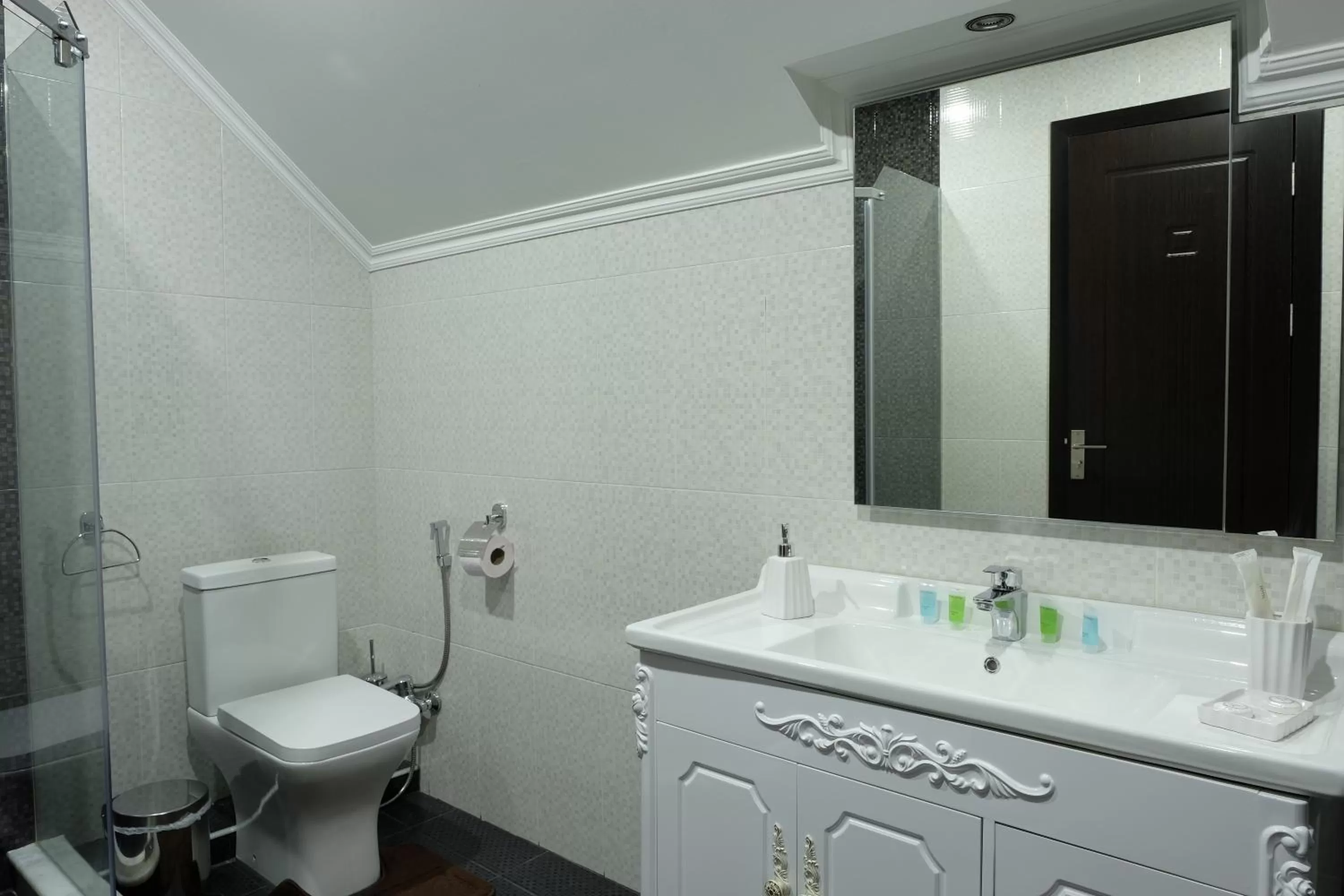 Shower in S&L Boutique Hotel