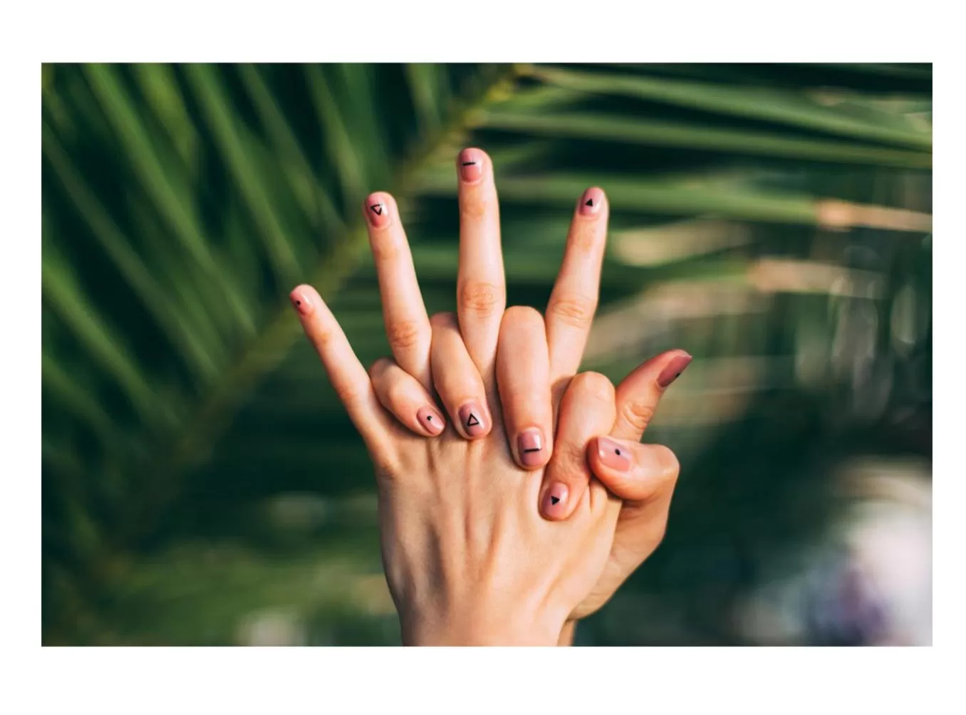 Other Animals in Wyspa Mszanka