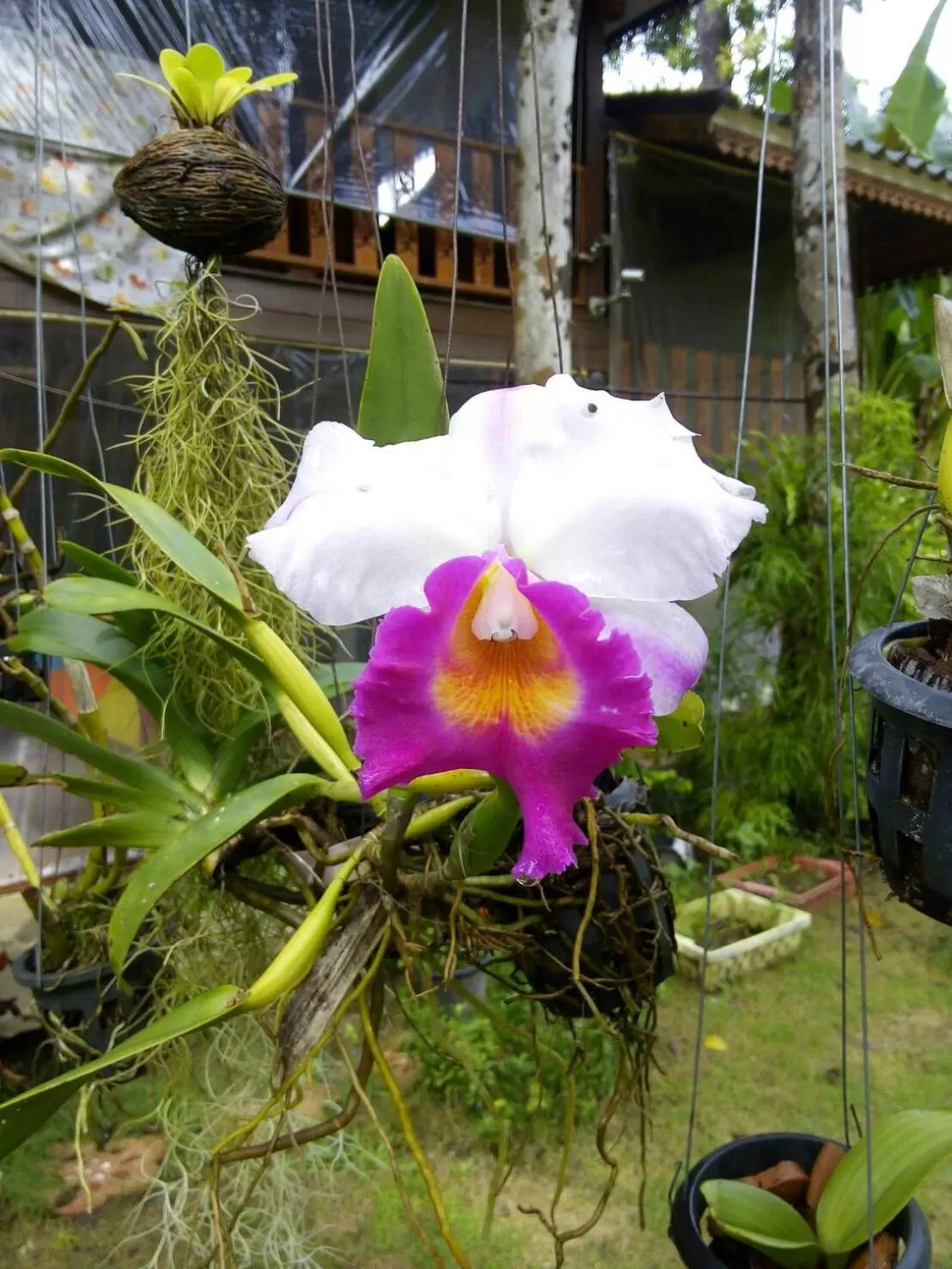 Property building in Koh Kood Little Hut