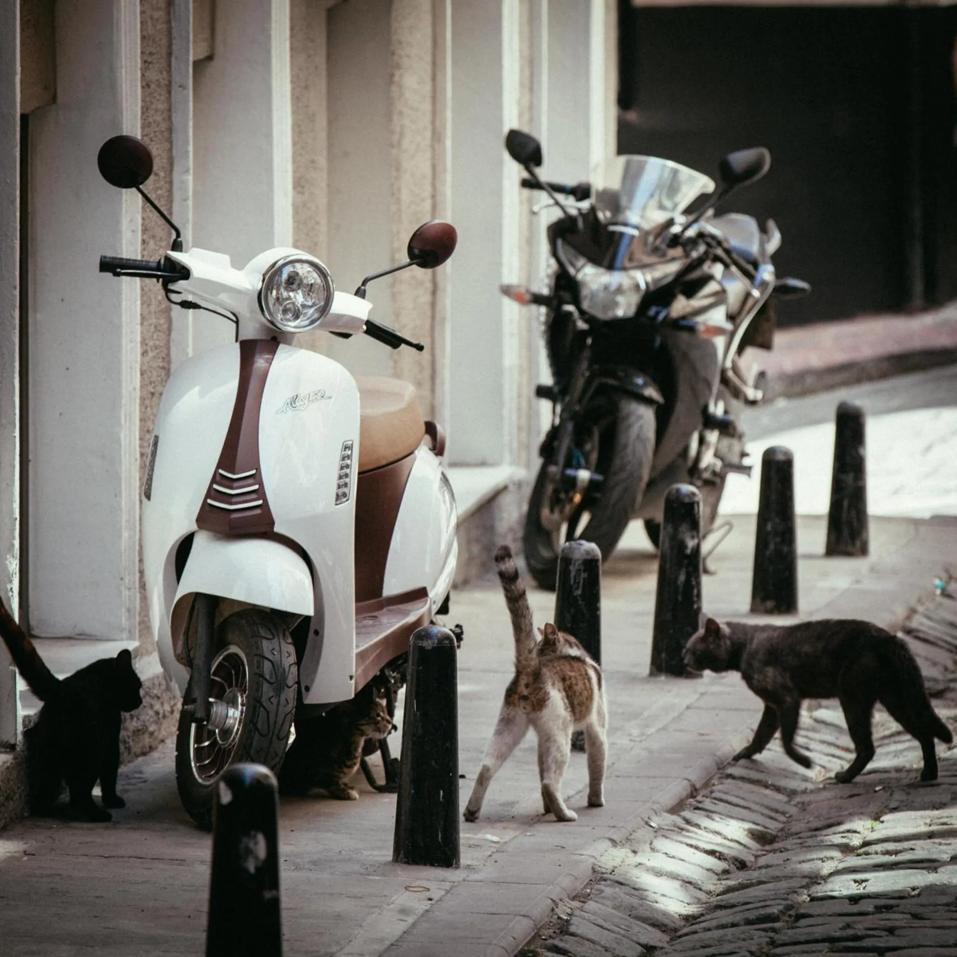 Neighbourhood in Georges Hotel Galata