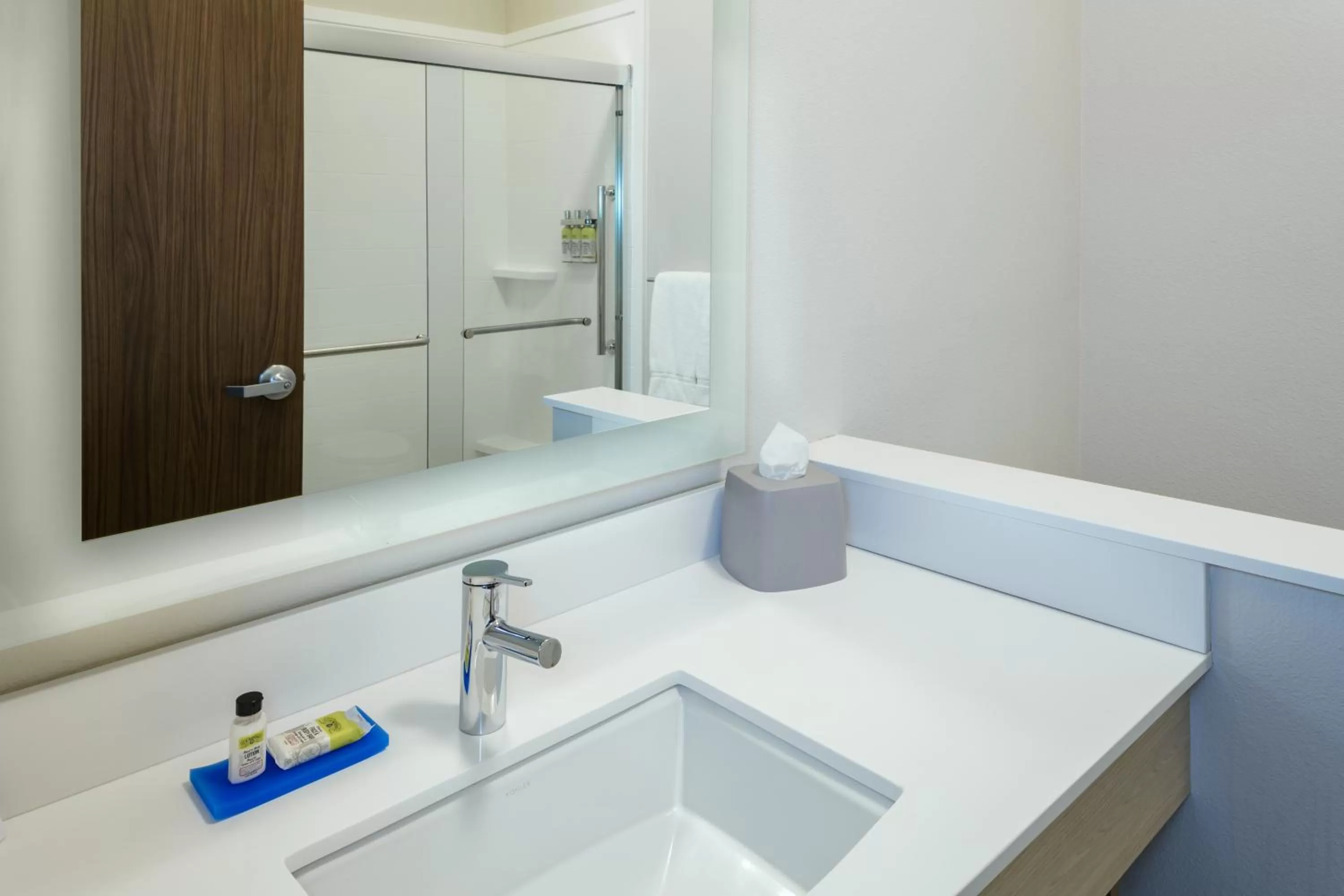 King Room - Mobility Access/Roll in Shower - Non-Smoking in Holiday Inn Express & Suites - Medford, an IHG Hotel