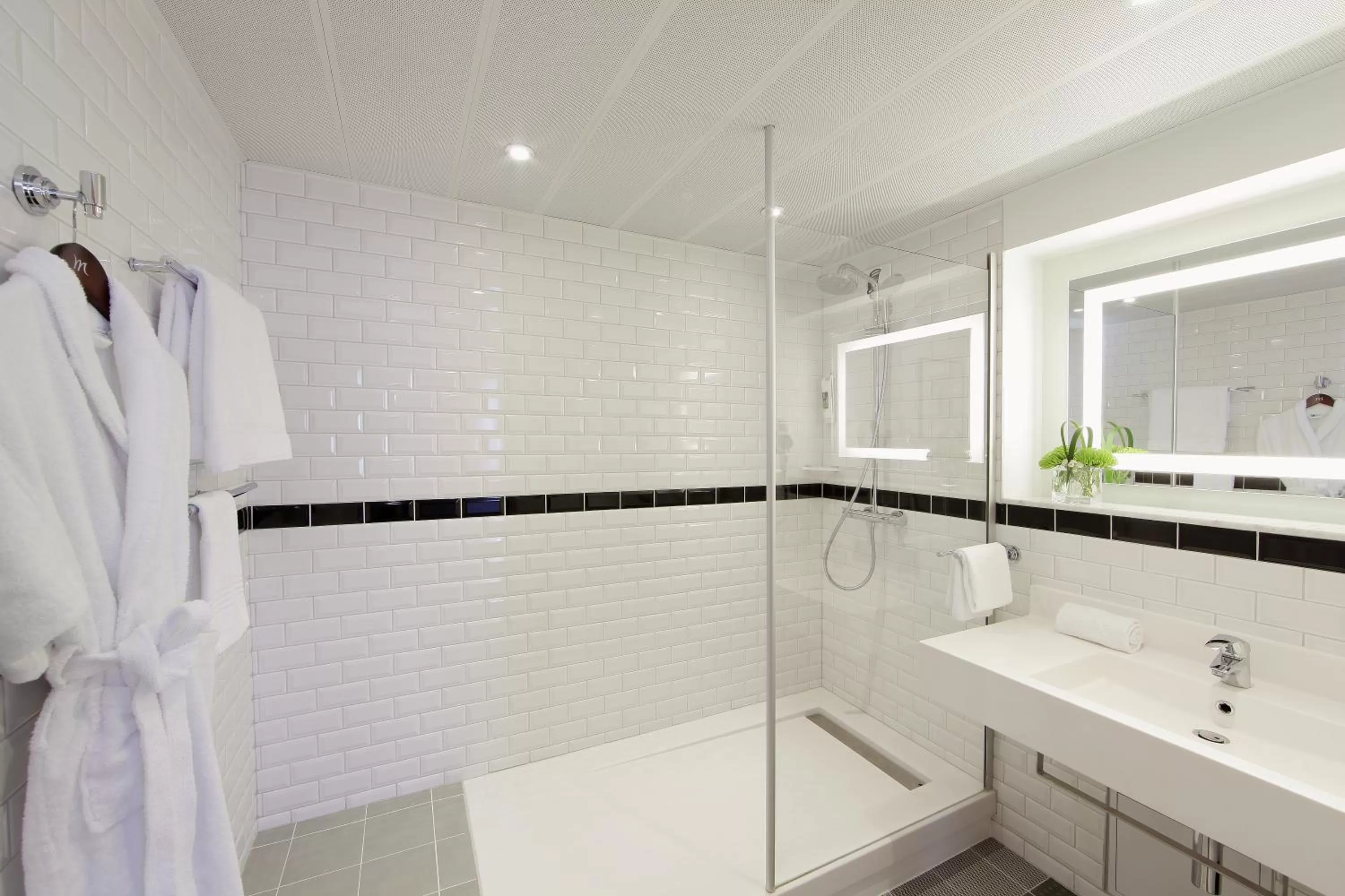 Shower in Mercure Hotel Forbach Centre de Loisirs