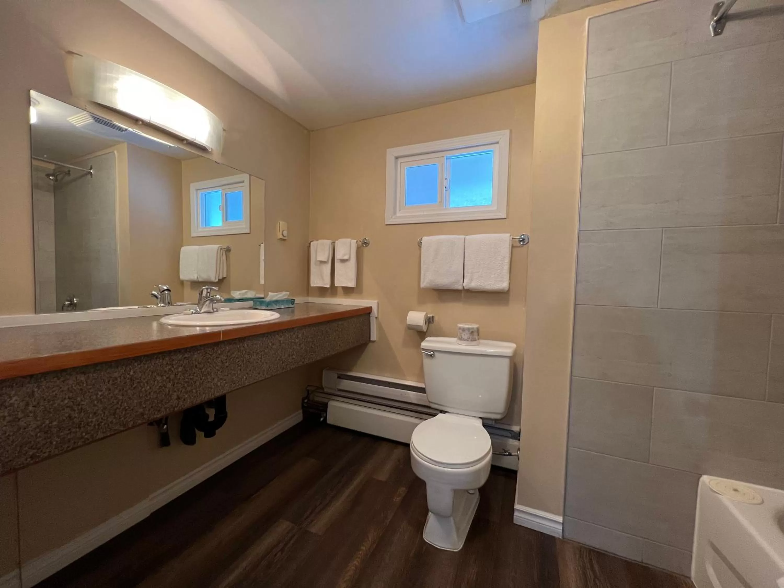 Shower in Villa Motel