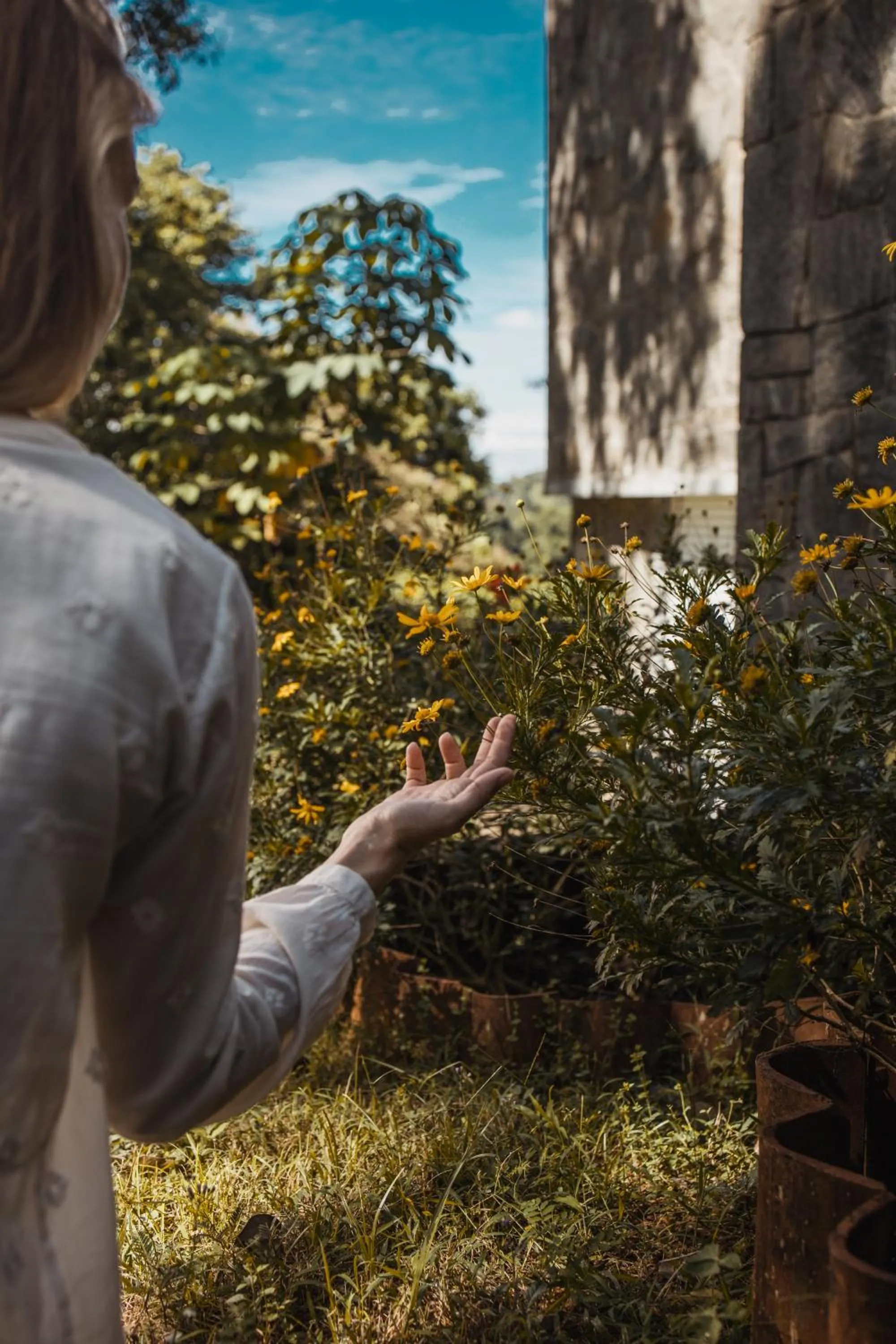 Natural landscape in Tree of Life Nature Resort