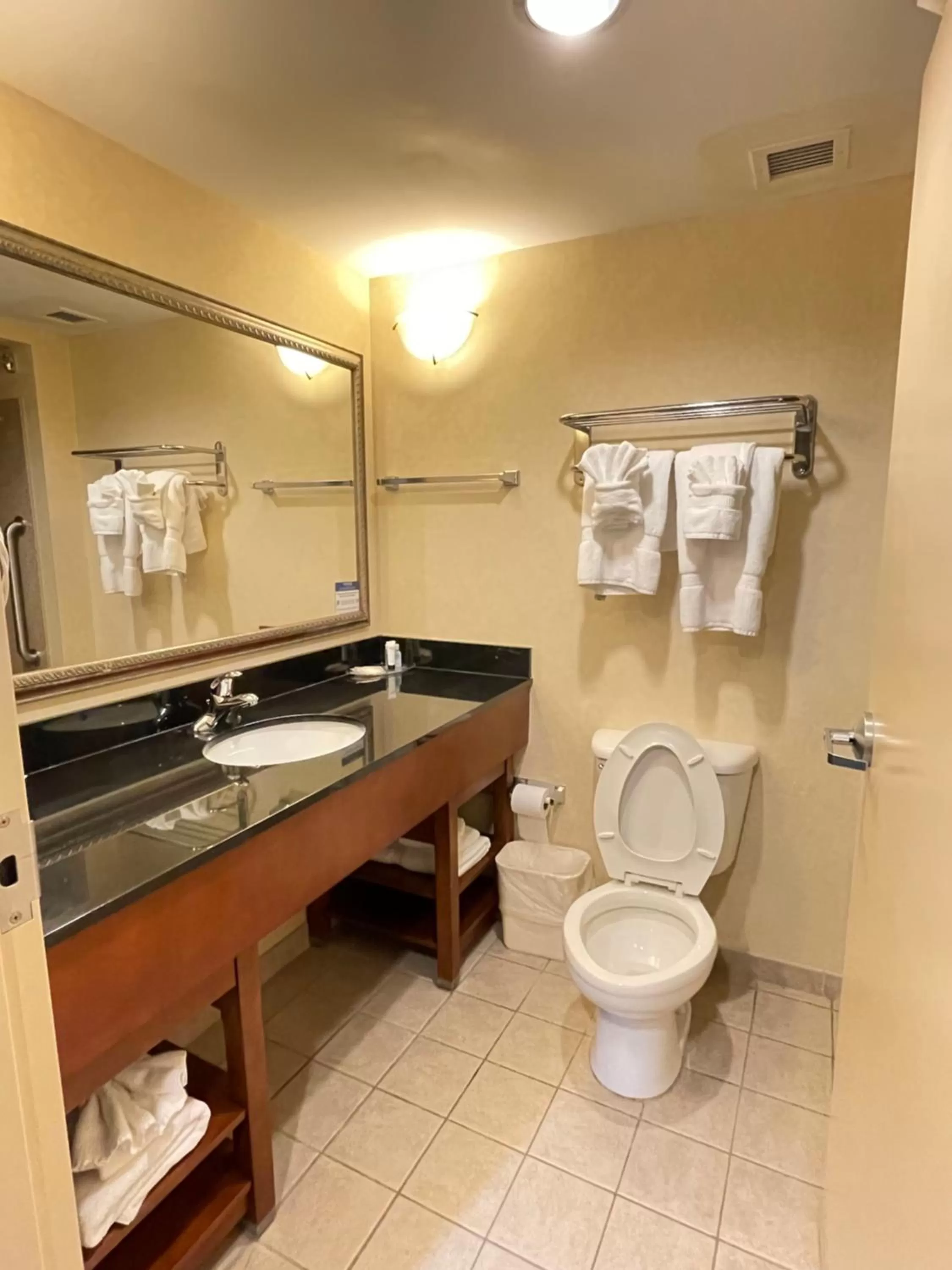 Bathroom in Comfort Suites Fredericksburg North