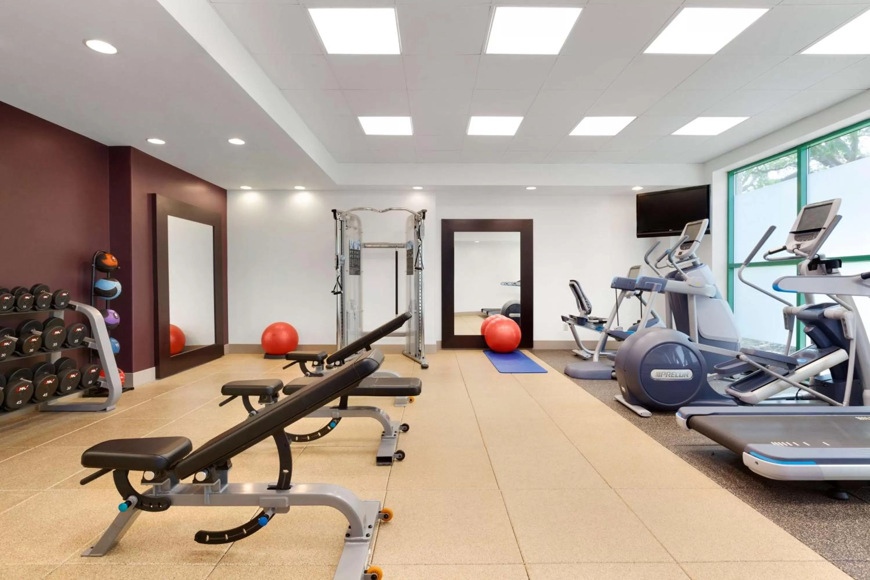 Fitness centre/facilities in Embassy Suites by Hilton Tampa USF Near Busch Gardens