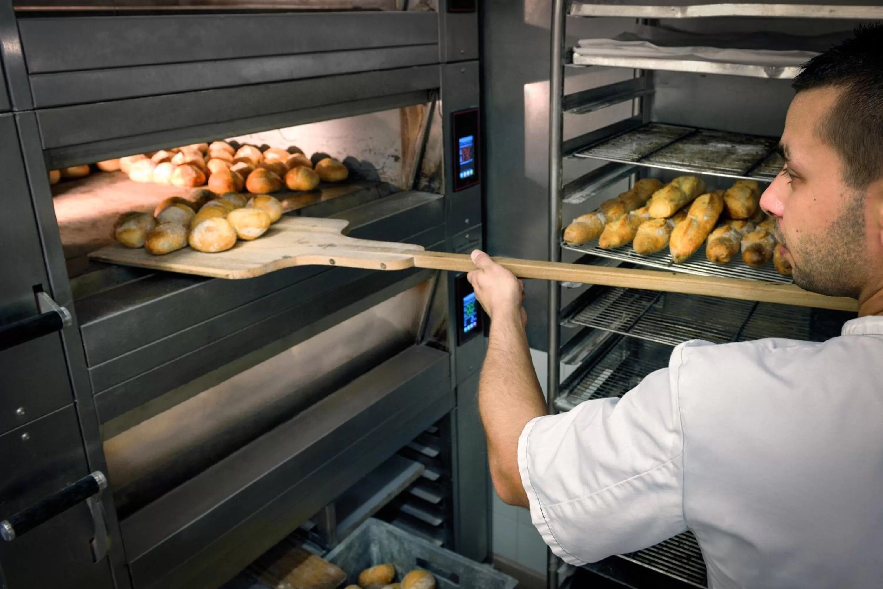 Other in Hotel de la Cité Carcassonne - MGallery Collection