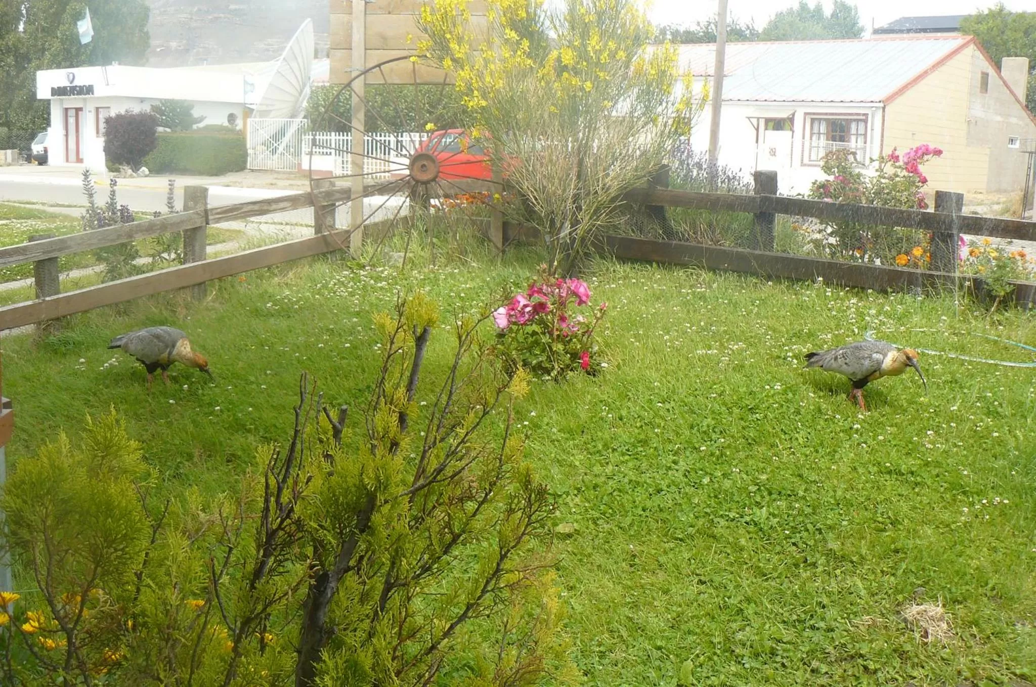 Day in Posada Karut Josh