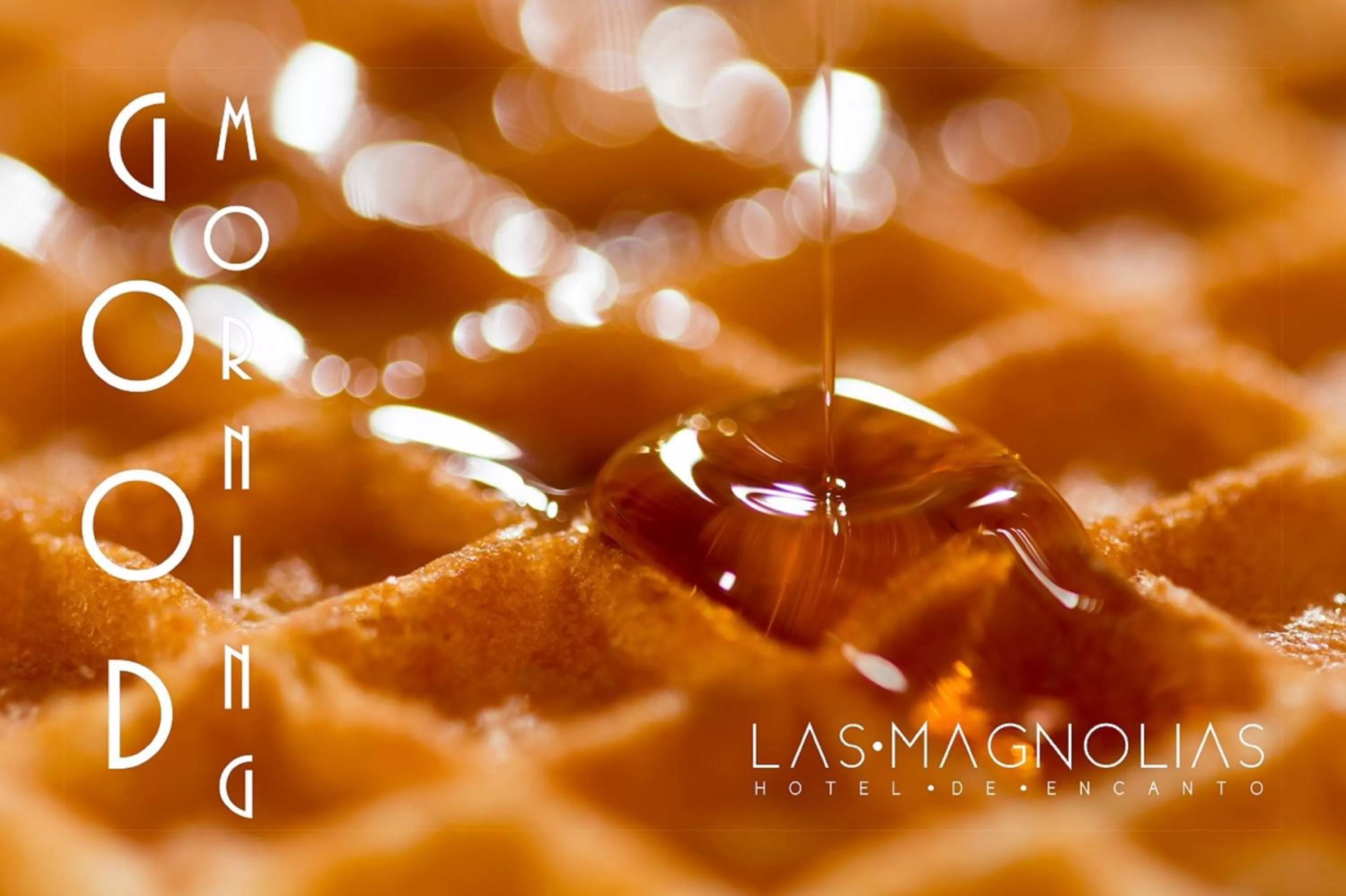 Food close-up in Las Magnolias Hotel Boutique