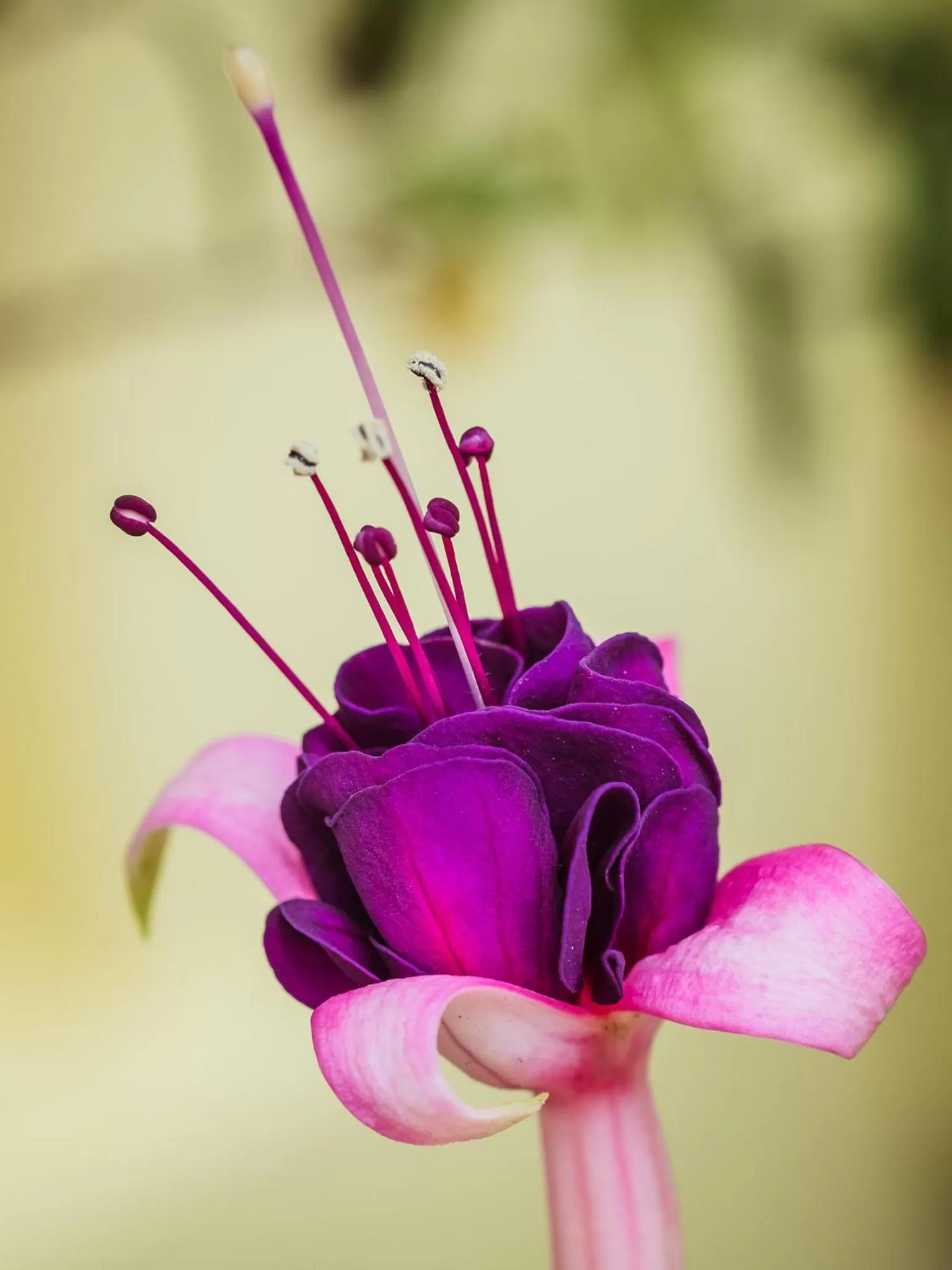 Decorative detail in On the Bay