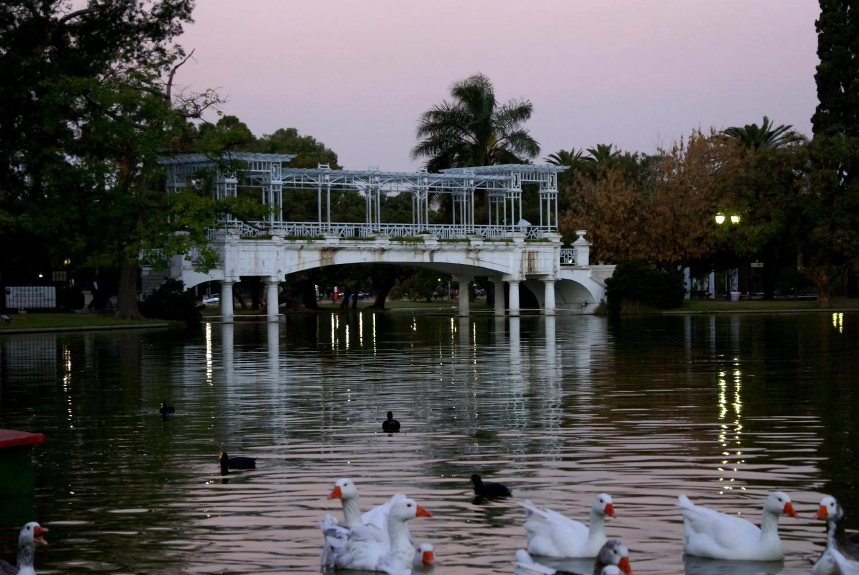 Area and facilities in Palermo Suites Buenos Aires Hotel & Apartments