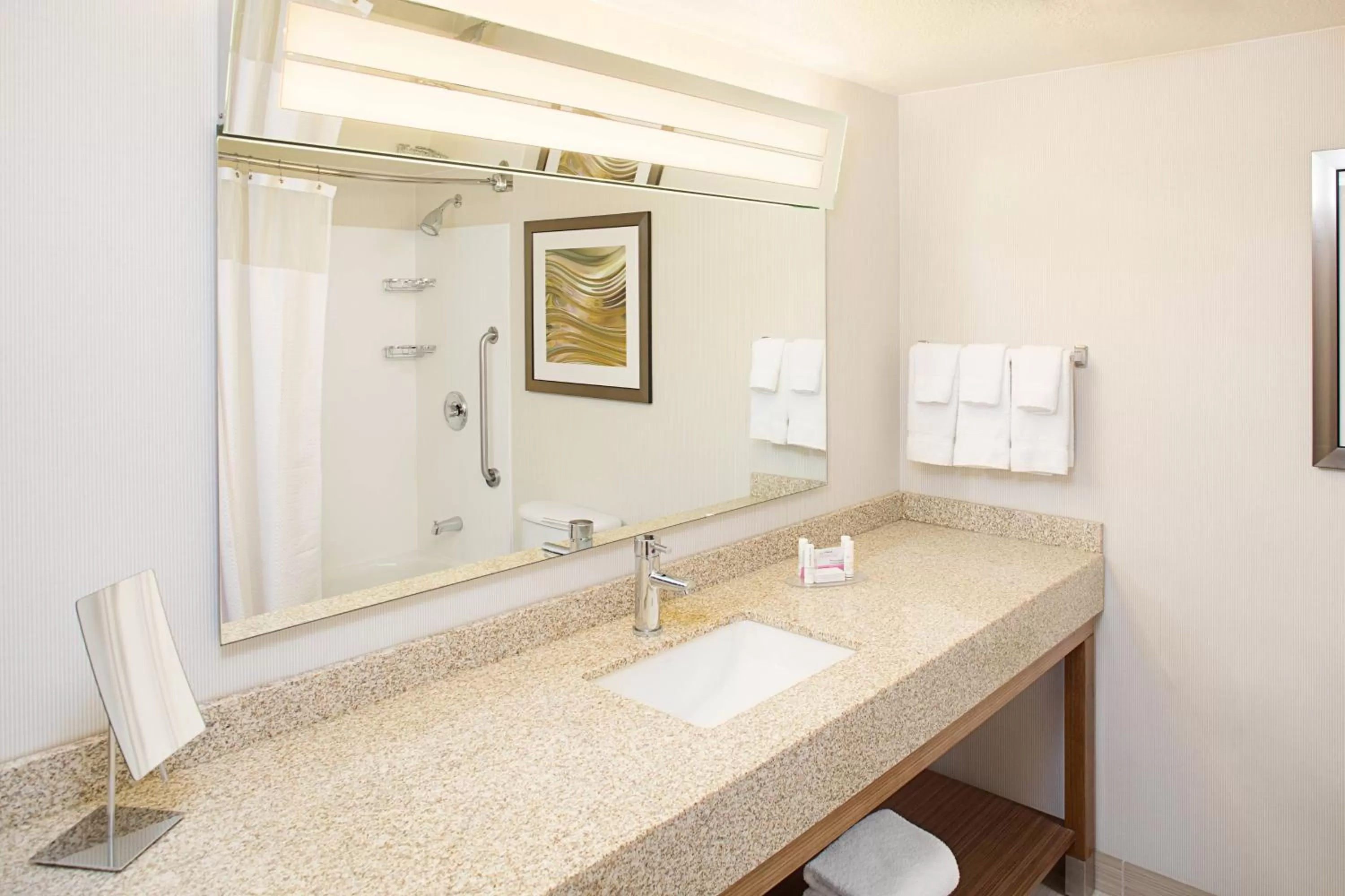 One-Bedroom King Suite with Sofa Bed - Non-Smoking in Courtyard by Marriott Sacramento Midtown