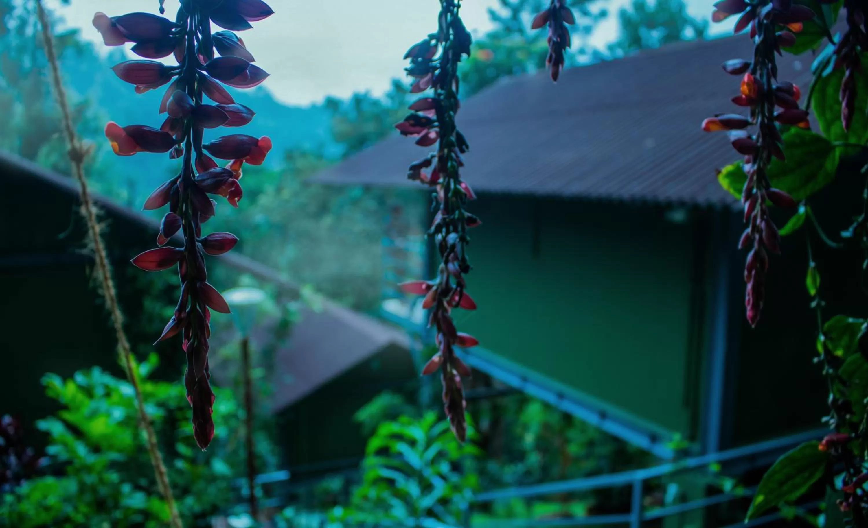 Property building in Edens Munnar