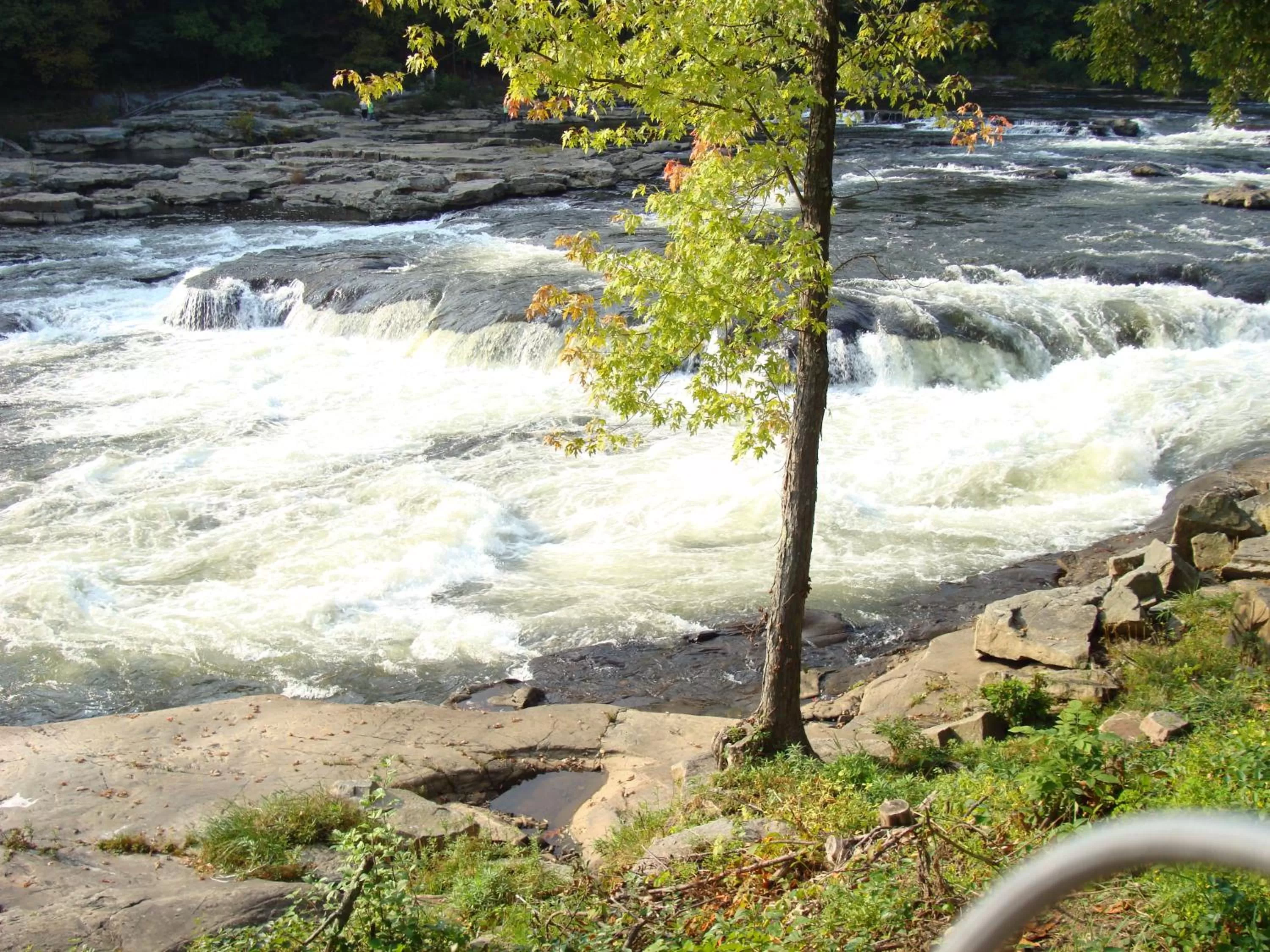 Natural landscape in Melody Motor Lodge