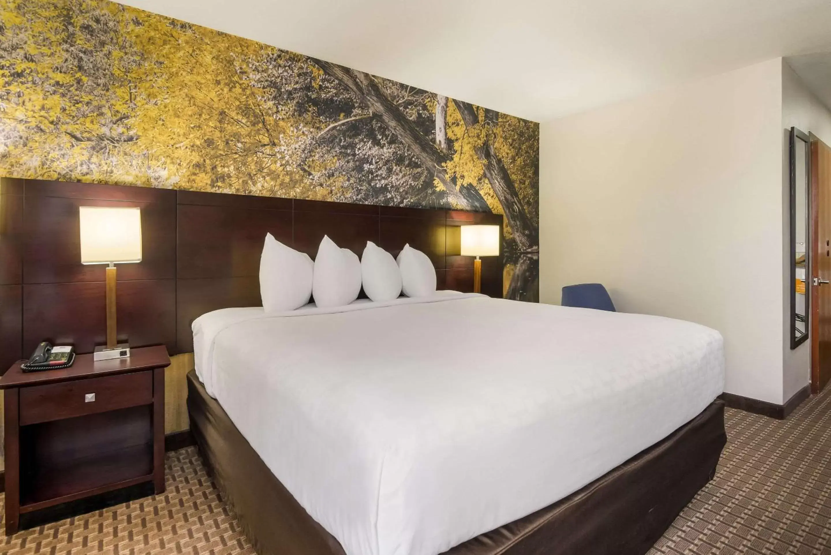 King Room - Accessible/Non-Smoking in Clarion Pointe Abingdon I-81 near Fairgrounds King Room - Accessible/Non-Smoking in Clarion Pointe Abingdon I-81 near Fairgrounds