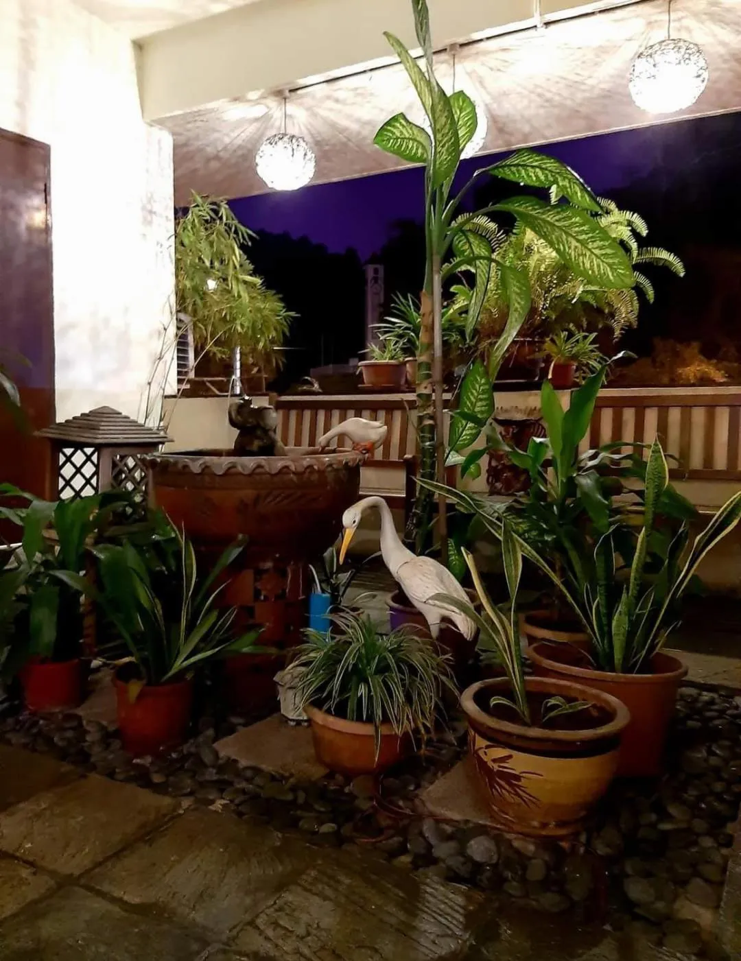 Balcony/Terrace in Akinabalu Youth Hostel