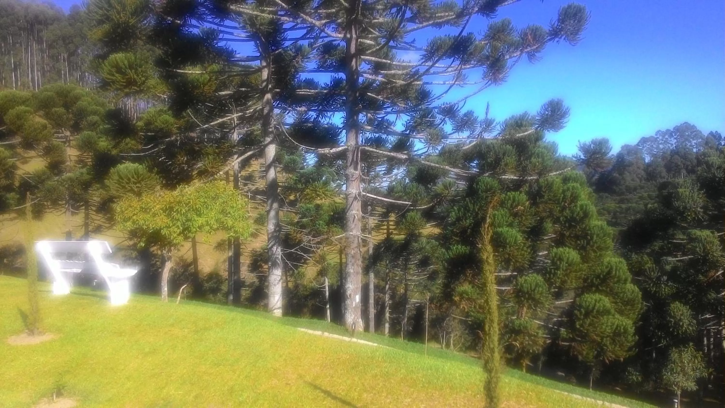 Natural landscape, Garden in MD Luar da Montanha