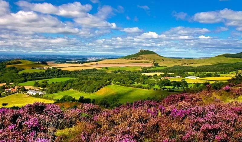 Natural landscape in Royal Oak Hotel