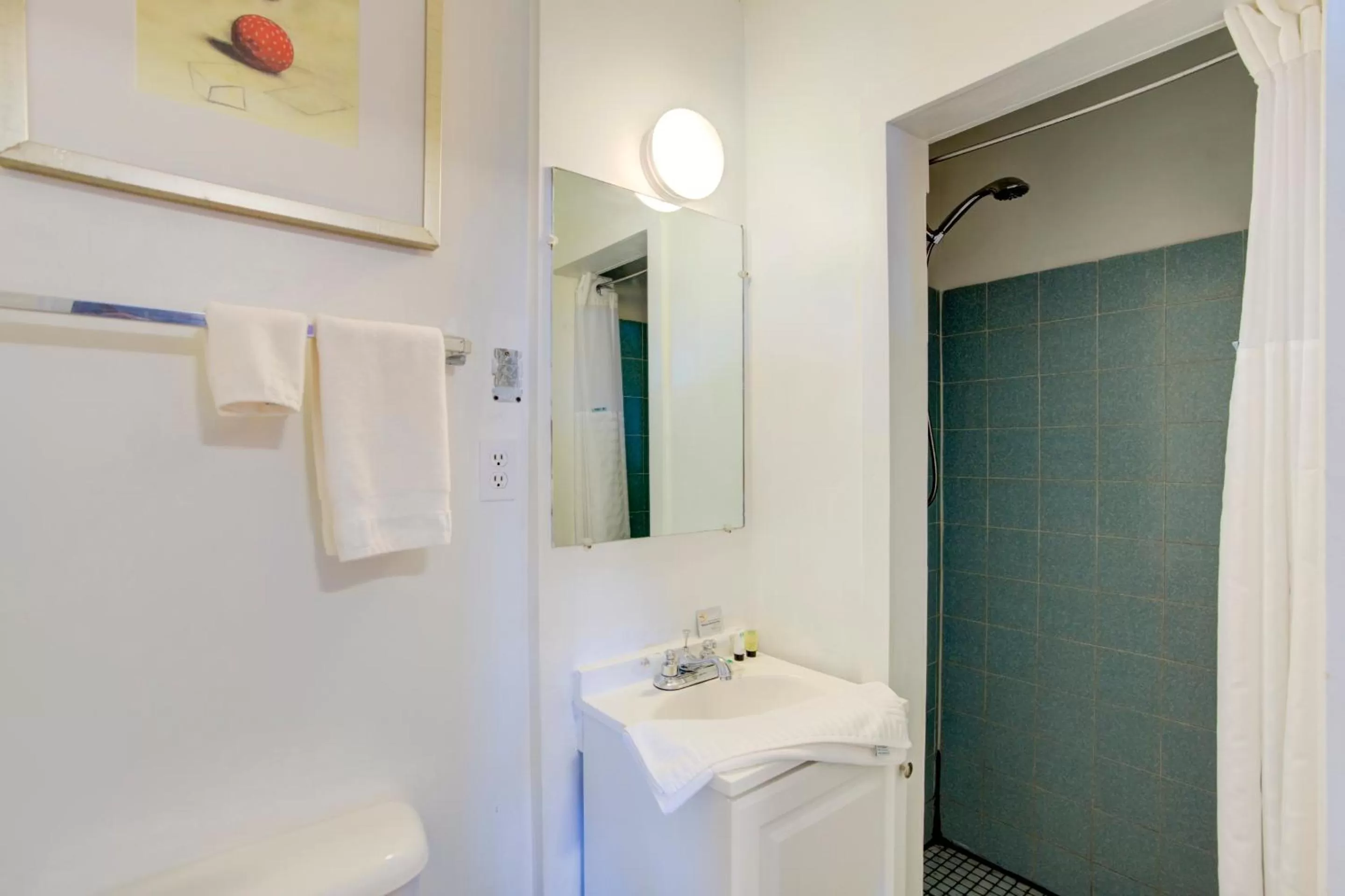 Shower in Rose's Motel