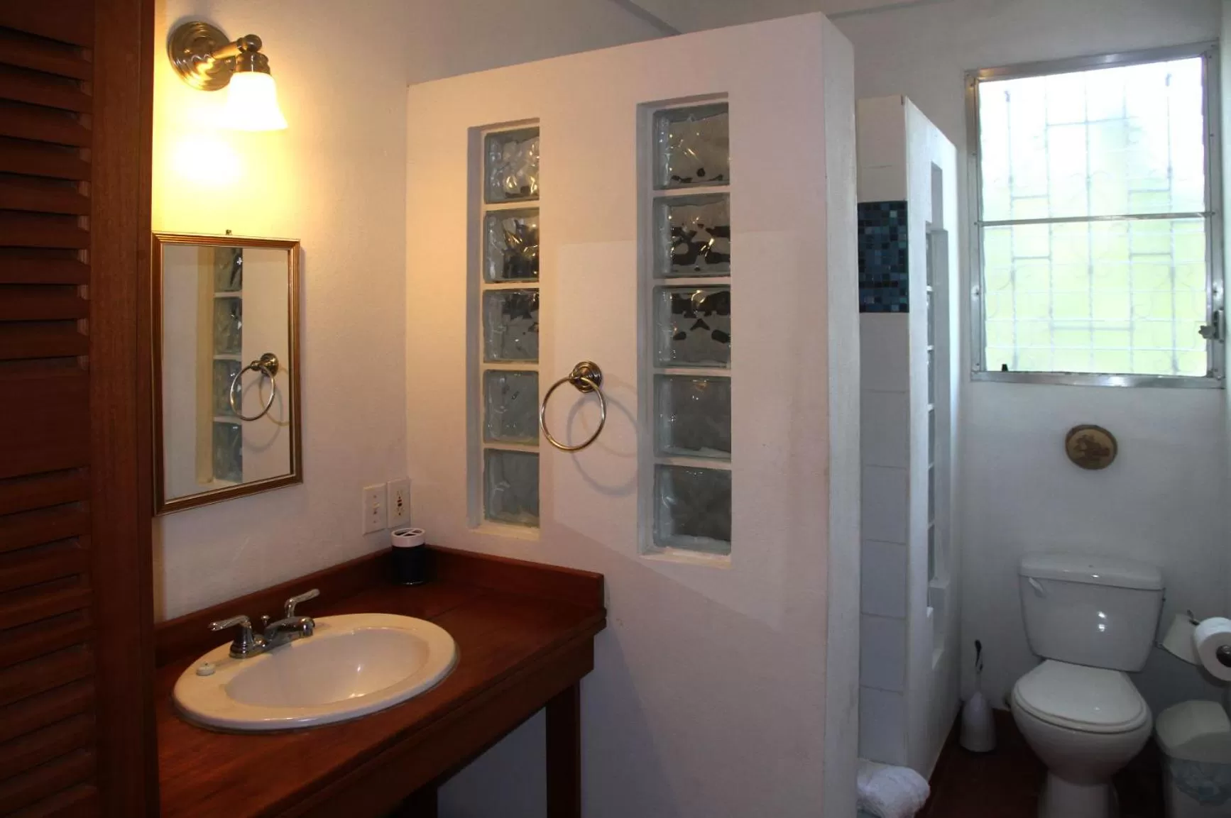 Shower, Bathroom in BlueBelize B&B