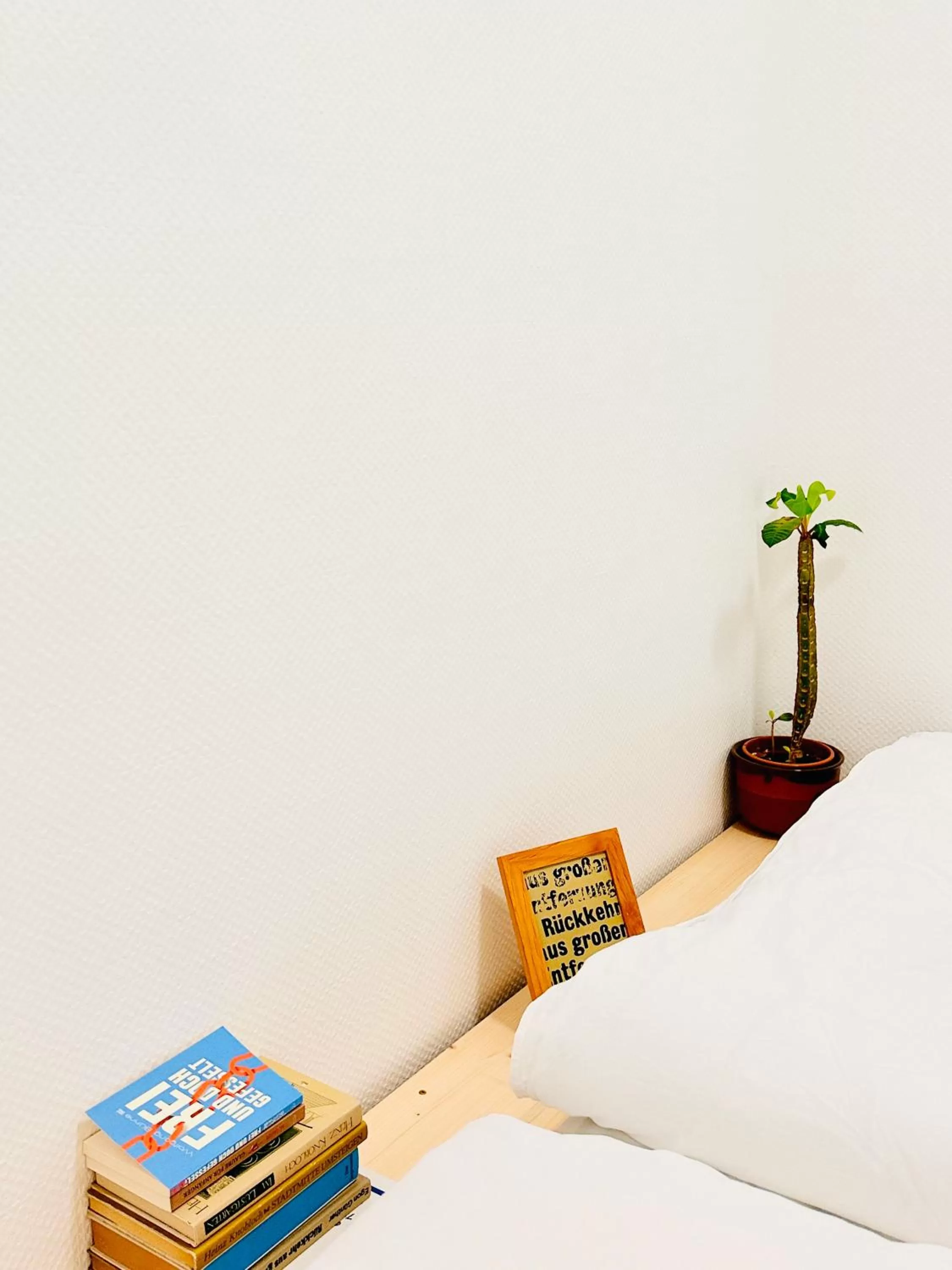 Bed in Saale, Marktplatz Zentrum, Apartmenthaus am Dom von Plant Room