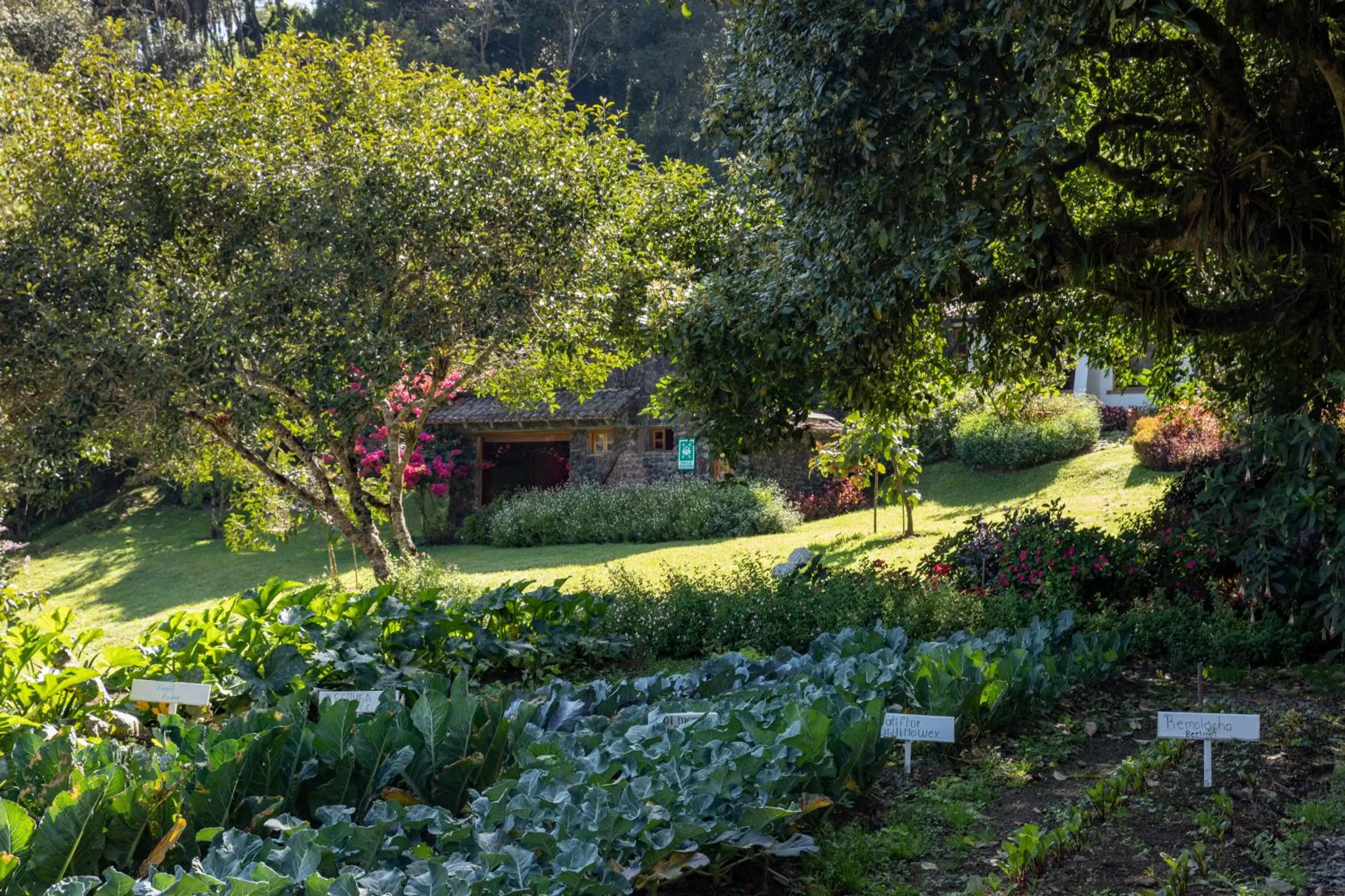 Garden in Luna Volcán, Adventure SPA