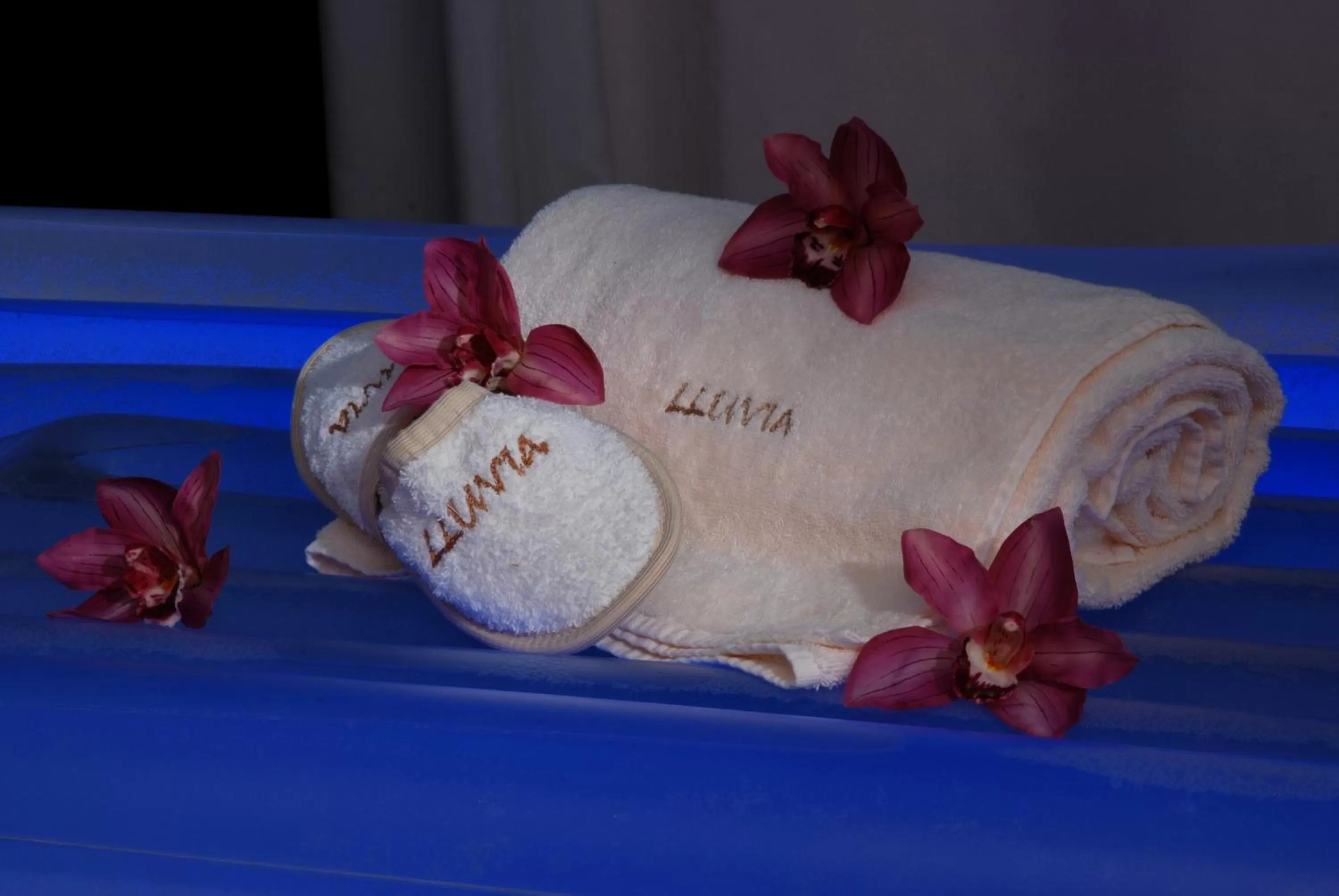 Spa and wellness centre/facilities in Hotel Leopardi