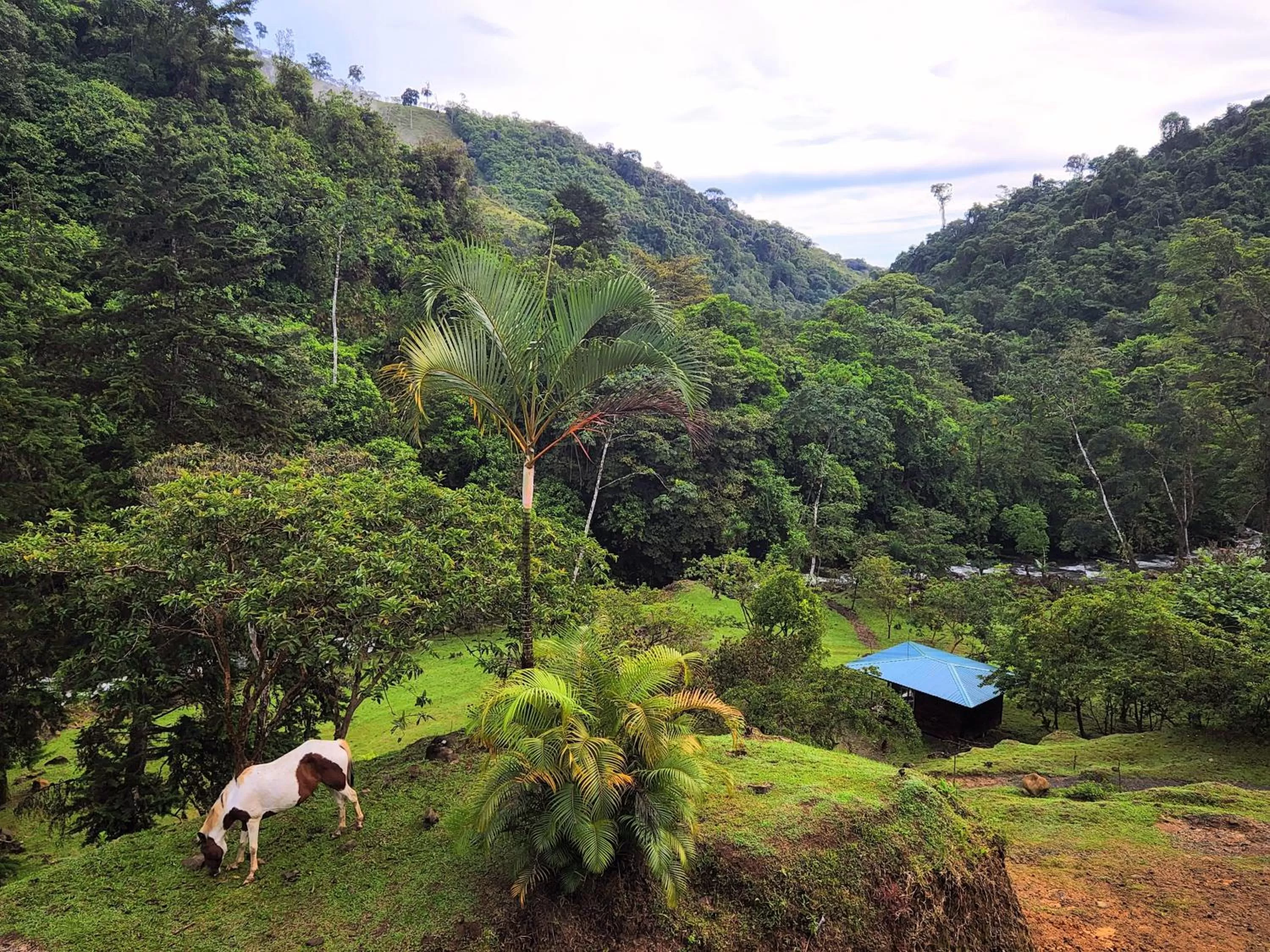 Natural landscape in Hotel Rivel - Adventure & Nature Retreat