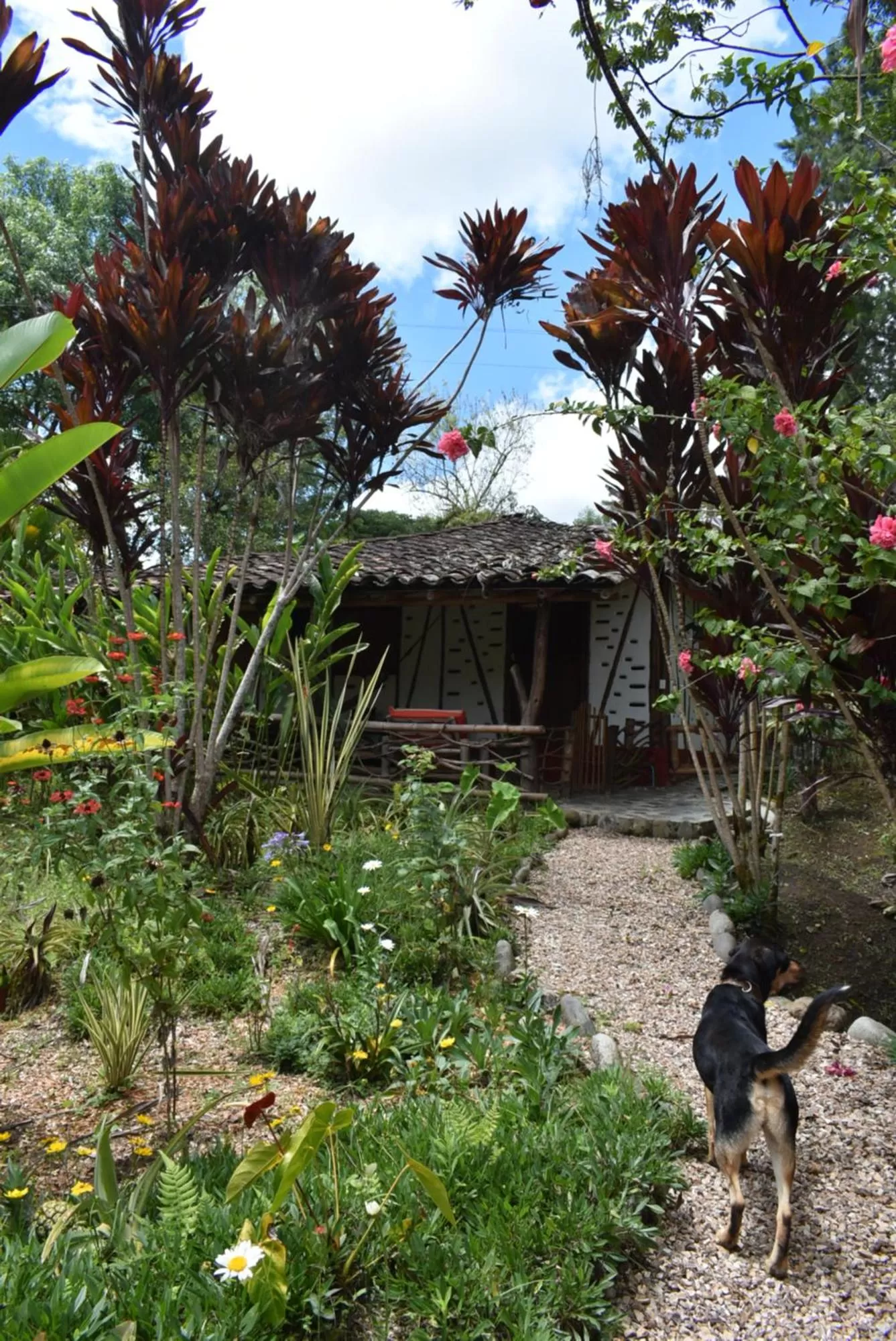 Decorative detail, Property Building in Hotel La Casa de Francois