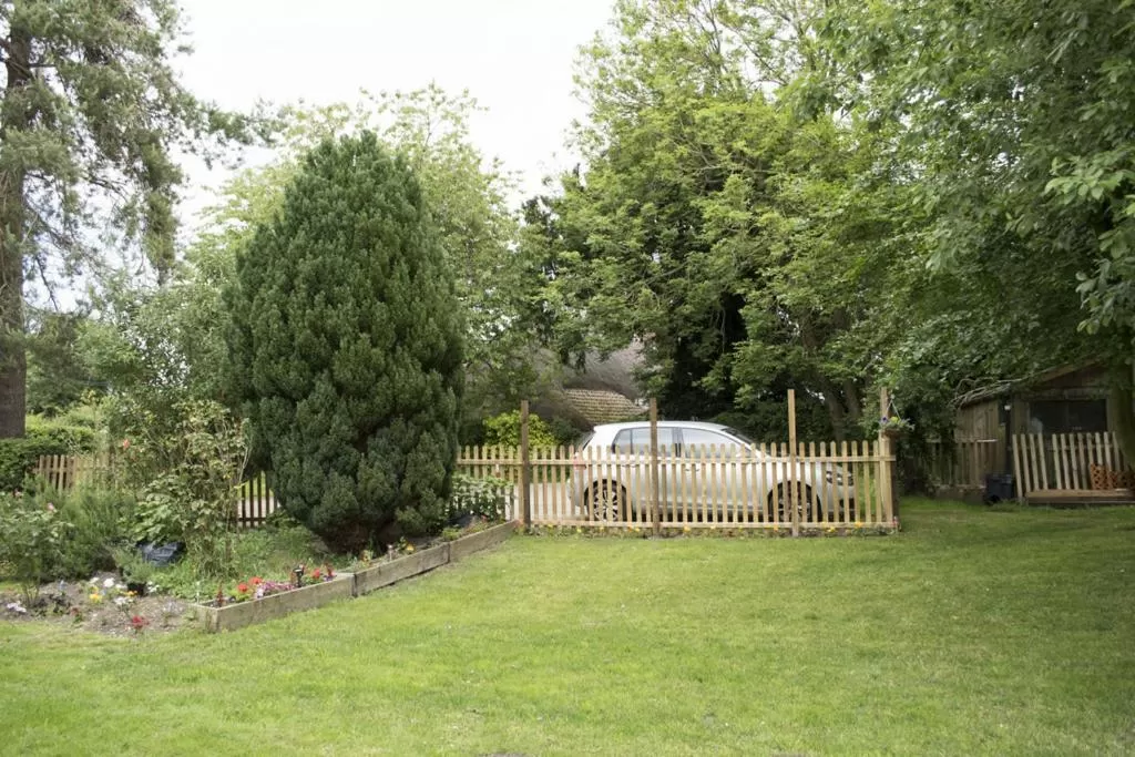 Garden in Flossies B and B