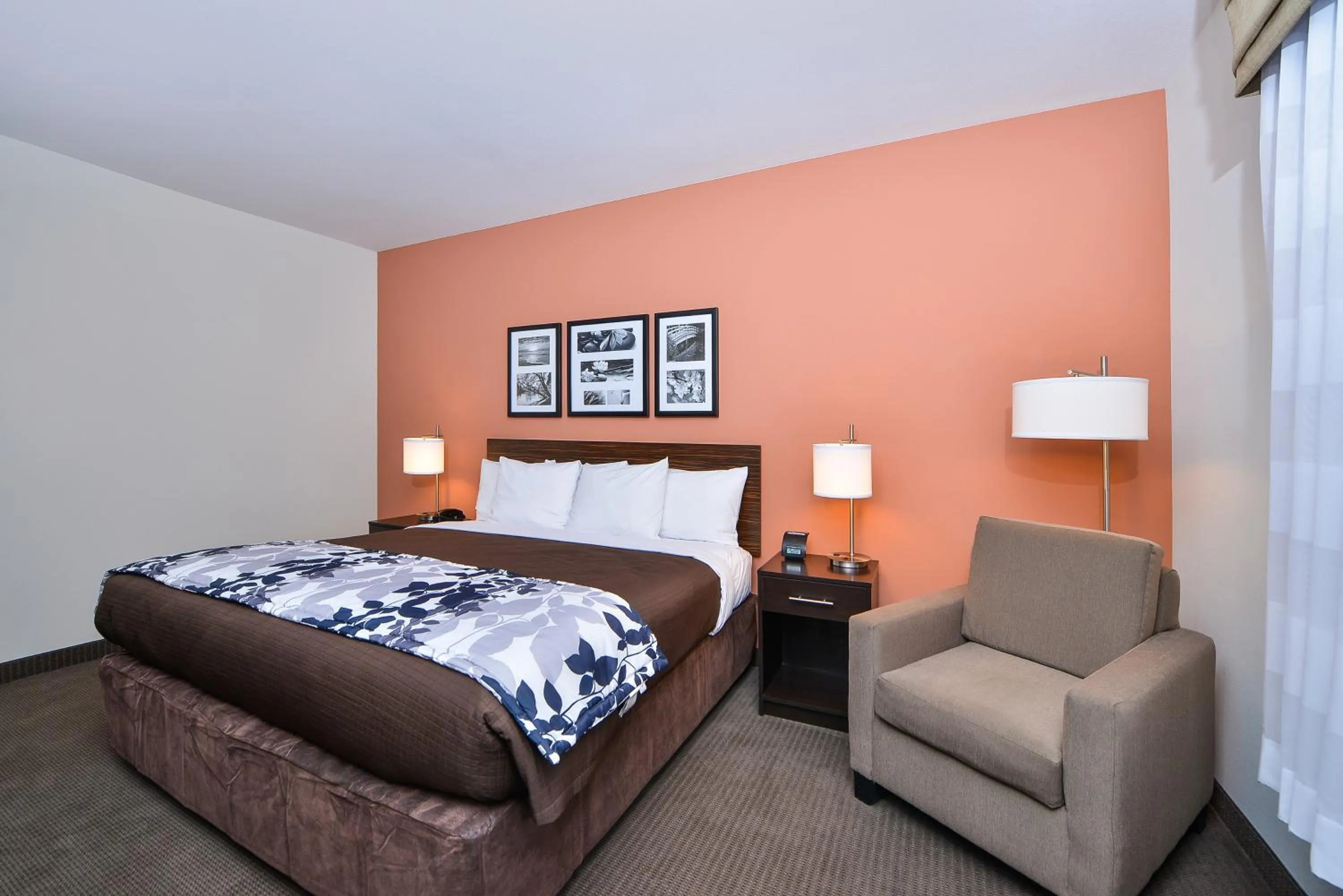Photo of the whole room, Bed in Sleep Inn & Suites Austin – Tech Center