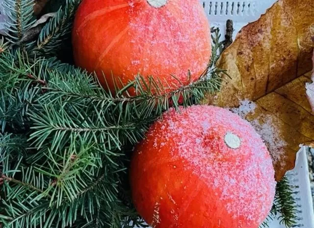 Food in Bed and Breakfast Bavaria München