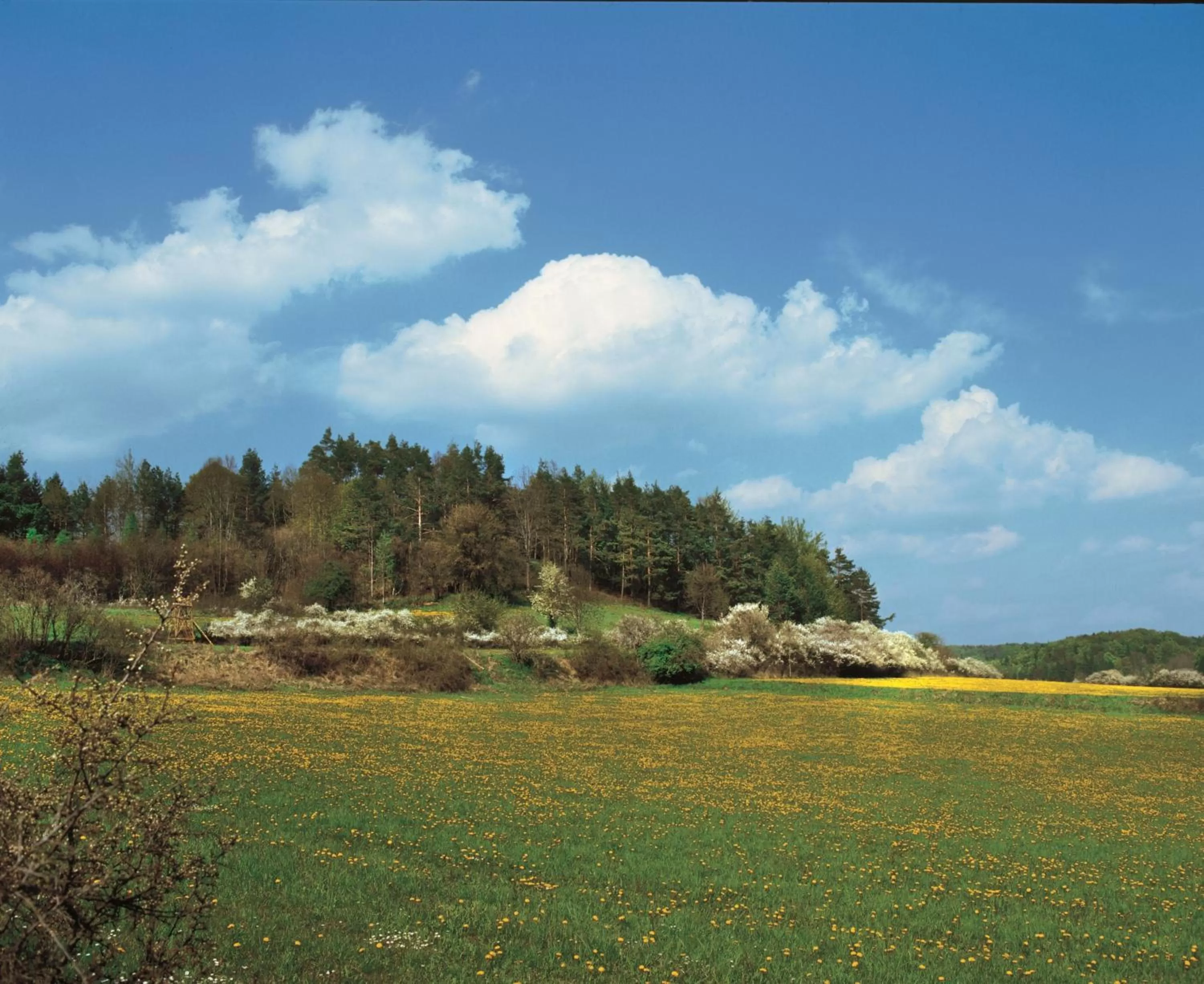Spring in Gasthof Hotel Reif