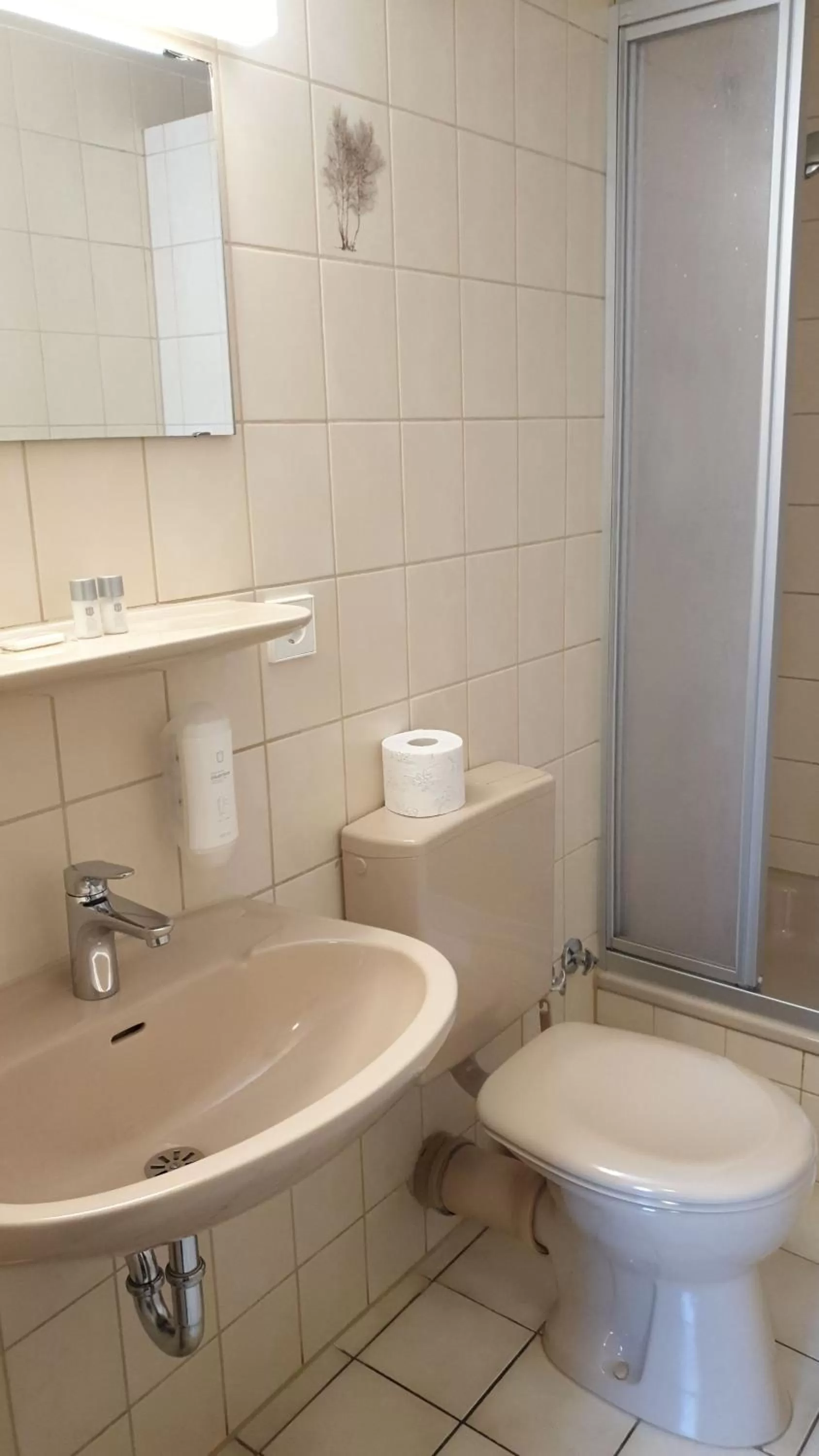 Bathroom in Hotel Goldene Rose