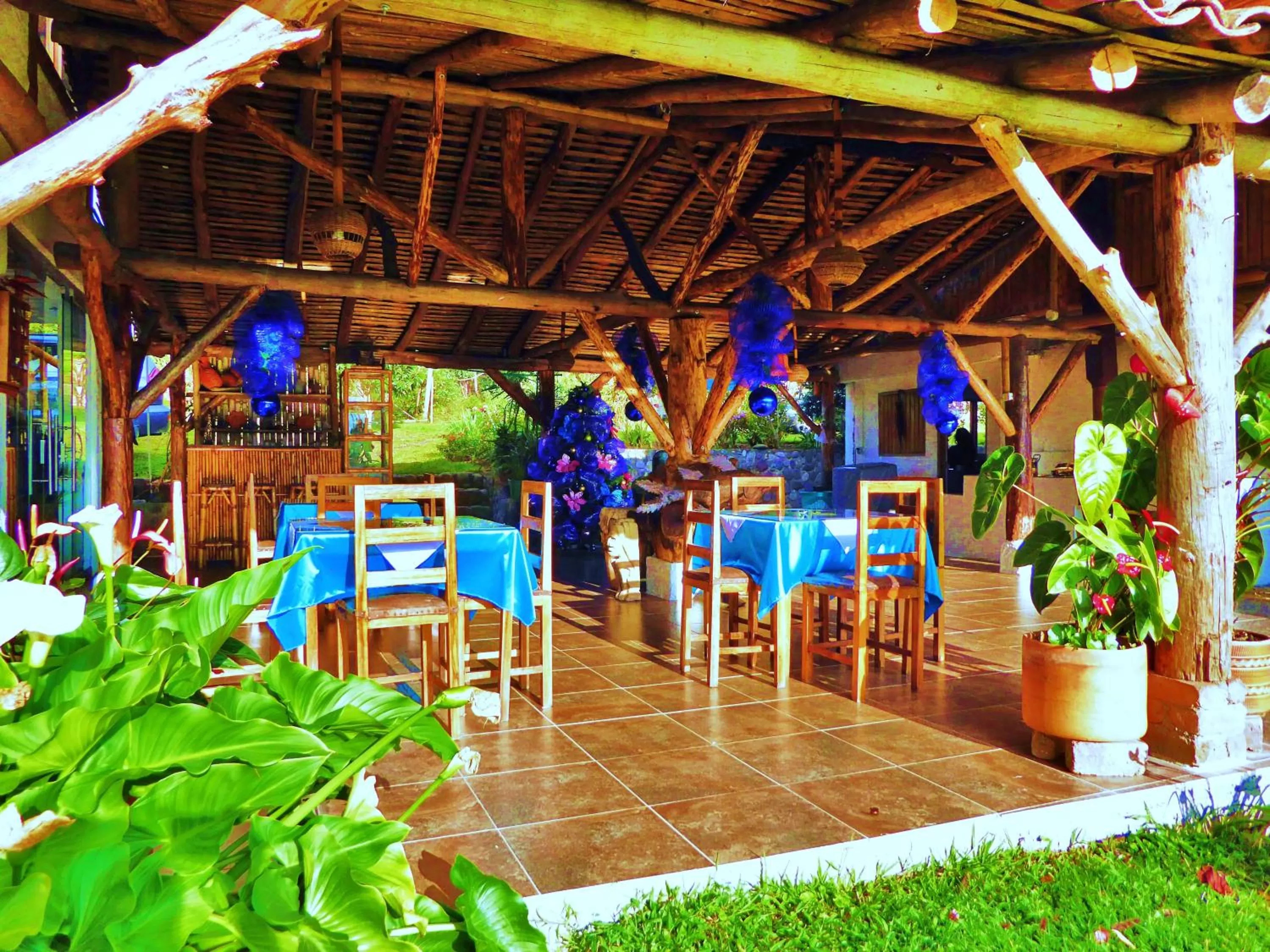 Restaurant/places to eat in Finca El Cielo