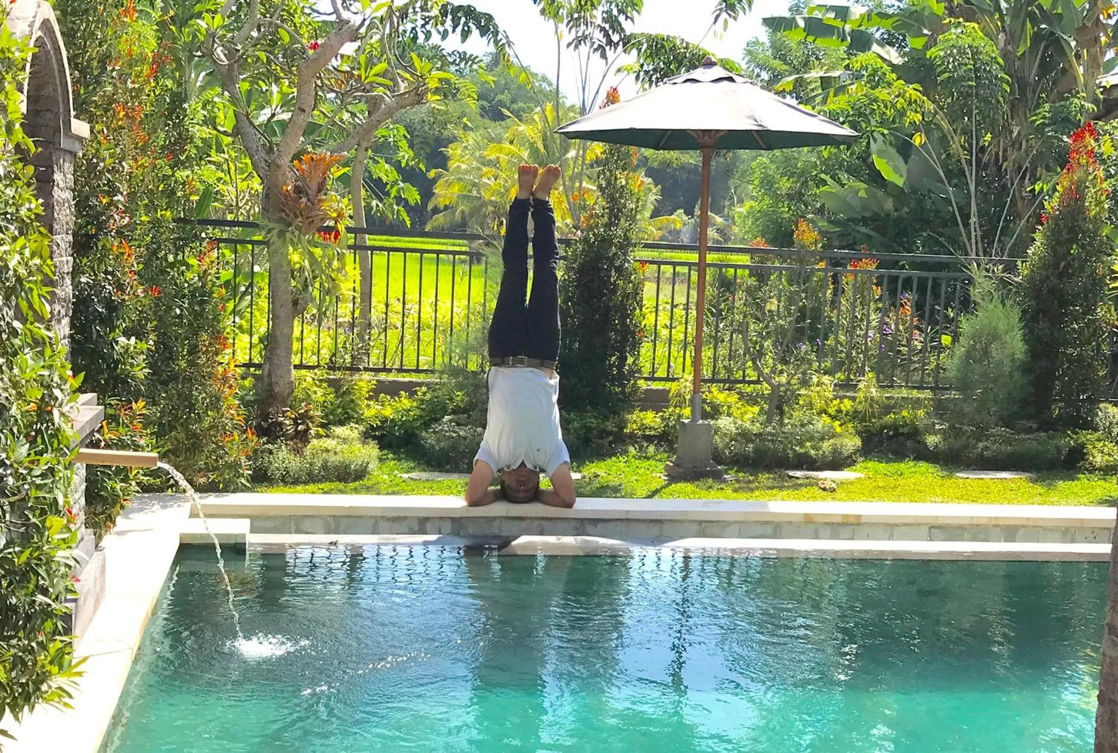 Pool view in Ubud Paradise Villa